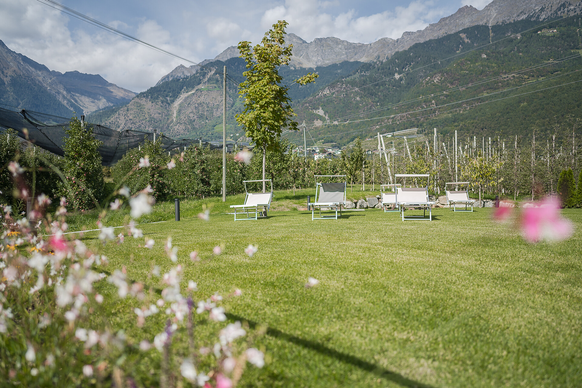 Agriturismo Tommele Hof - Merano e dintorni - #4 - suedtirol.info