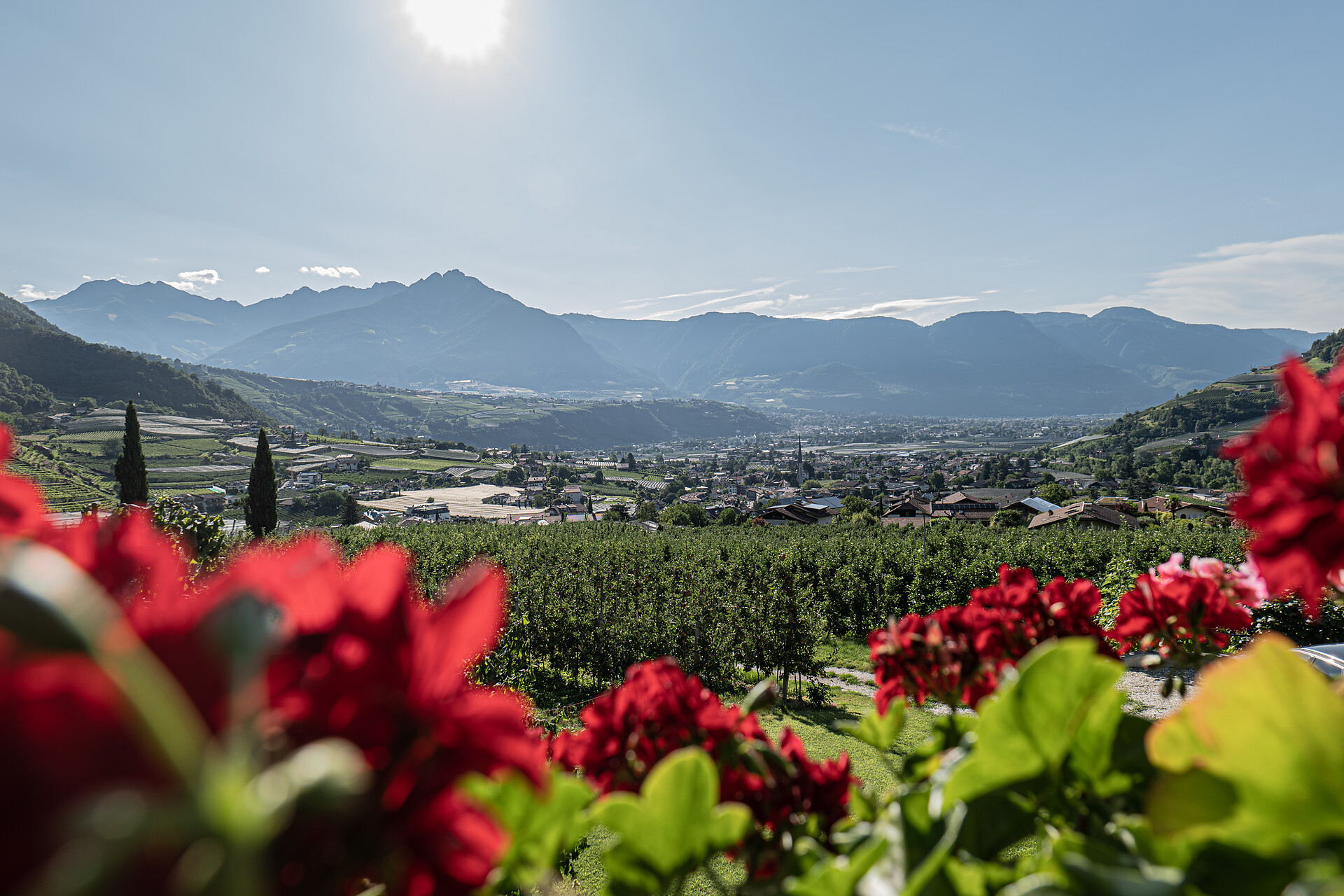 Bauernhof Baumgartnerhof - Meran und Umgebung - #3 - suedtirol.info
