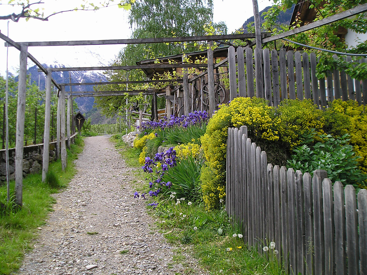 Agriturismo Almbergerhof - Merano e dintorni - #7 - suedtirol.info