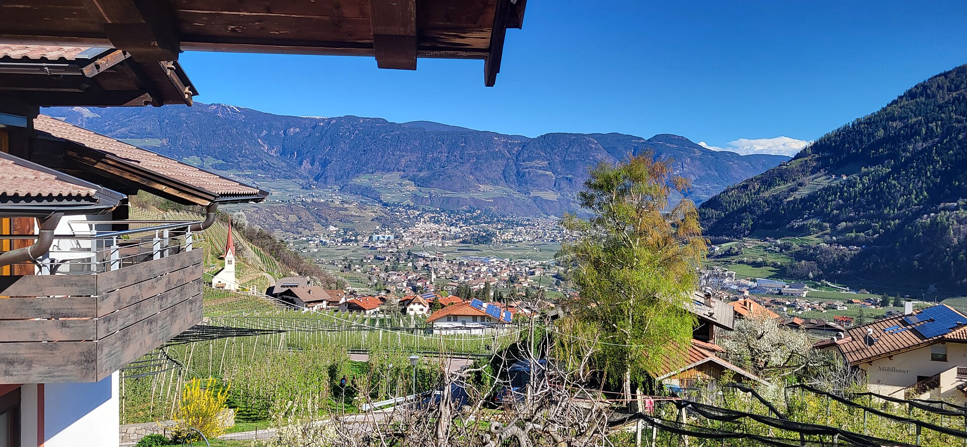 Ausblick Almbergerhof, Richtung Meran