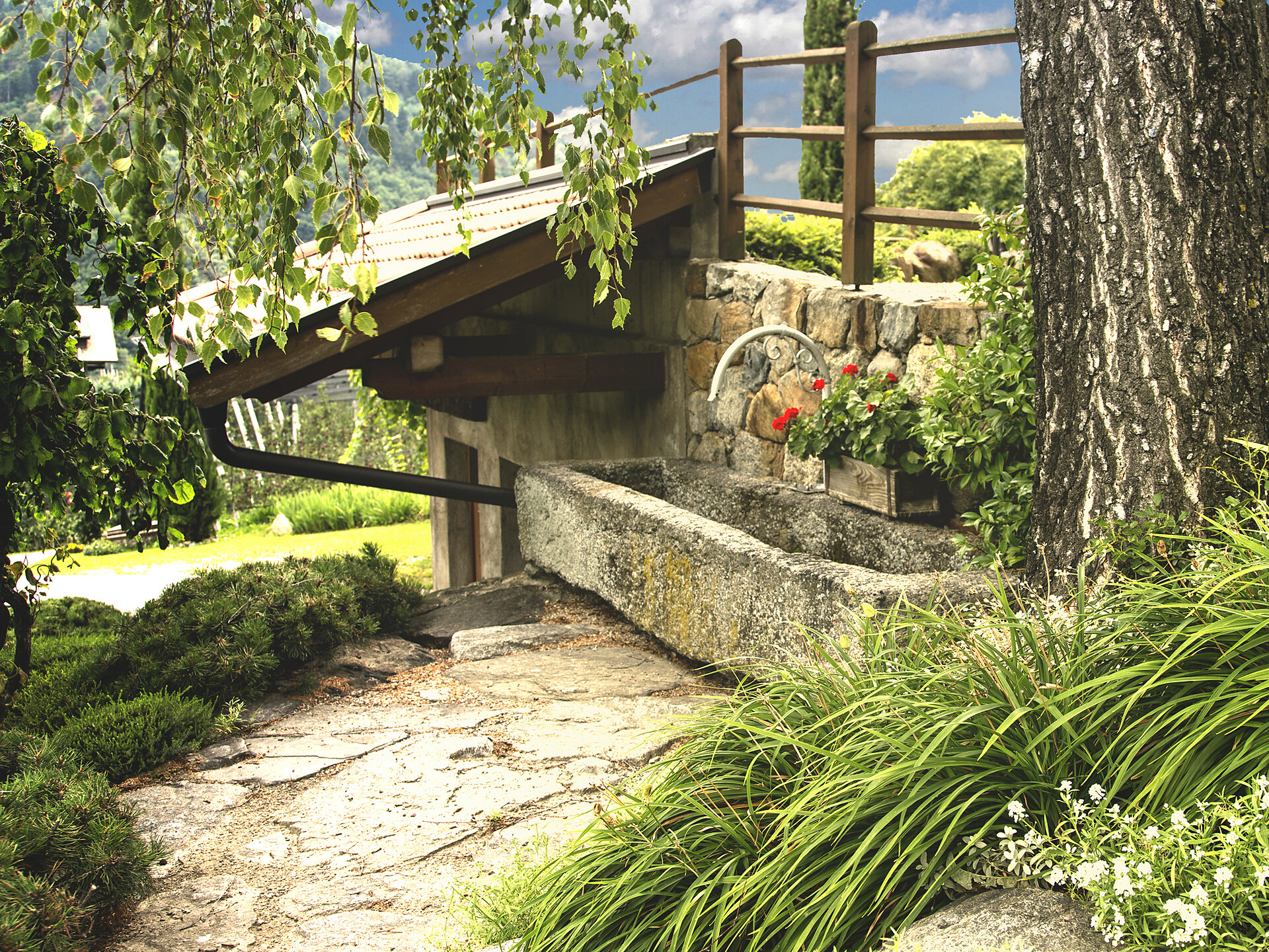 Garden