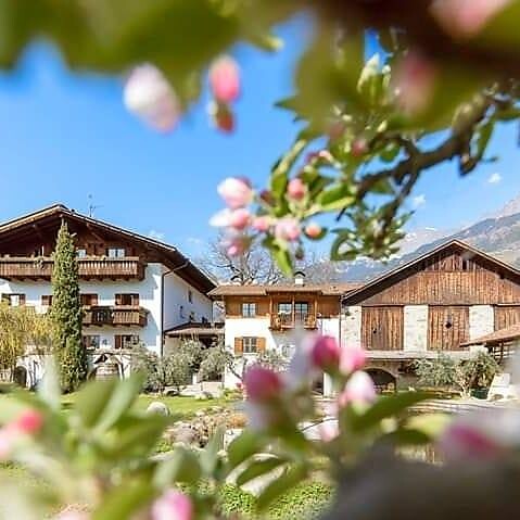 Frühling am Gruberhof
