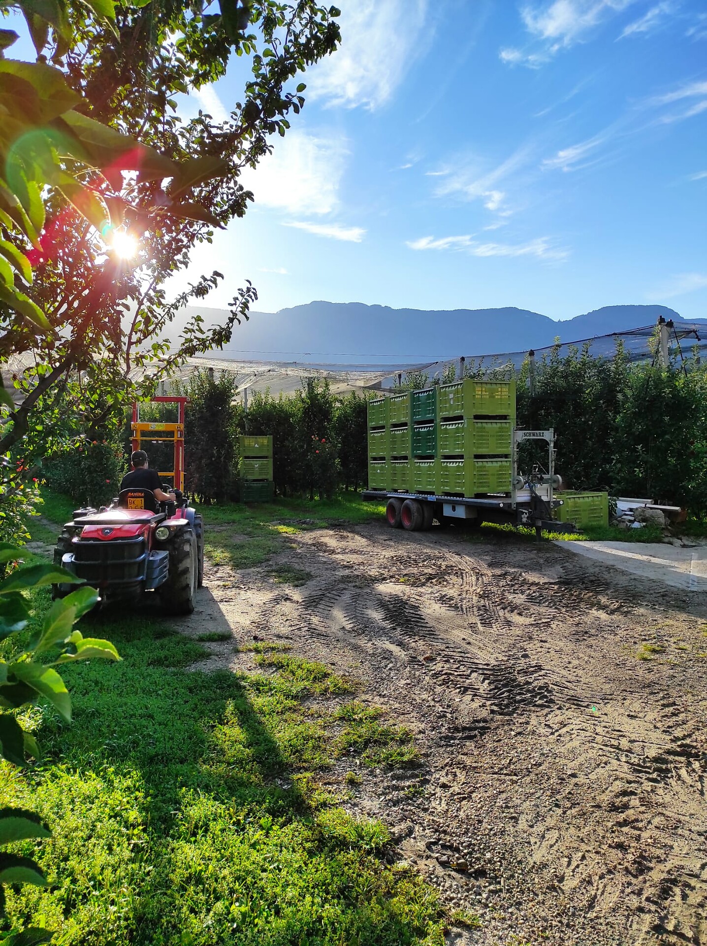 Biologische Landwirtschaft