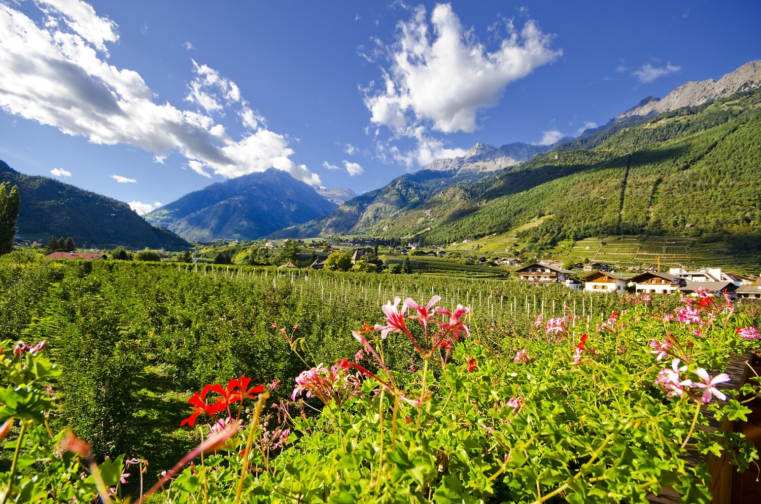 Vista verso il gruppo di Tessa