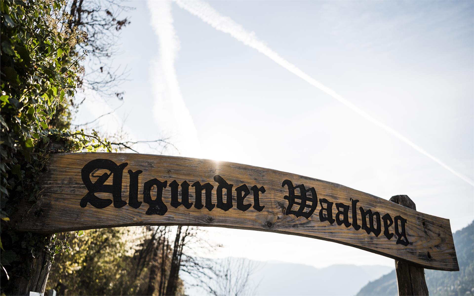 Bauernhof Gamperhof Algund 5 suedtirol.info