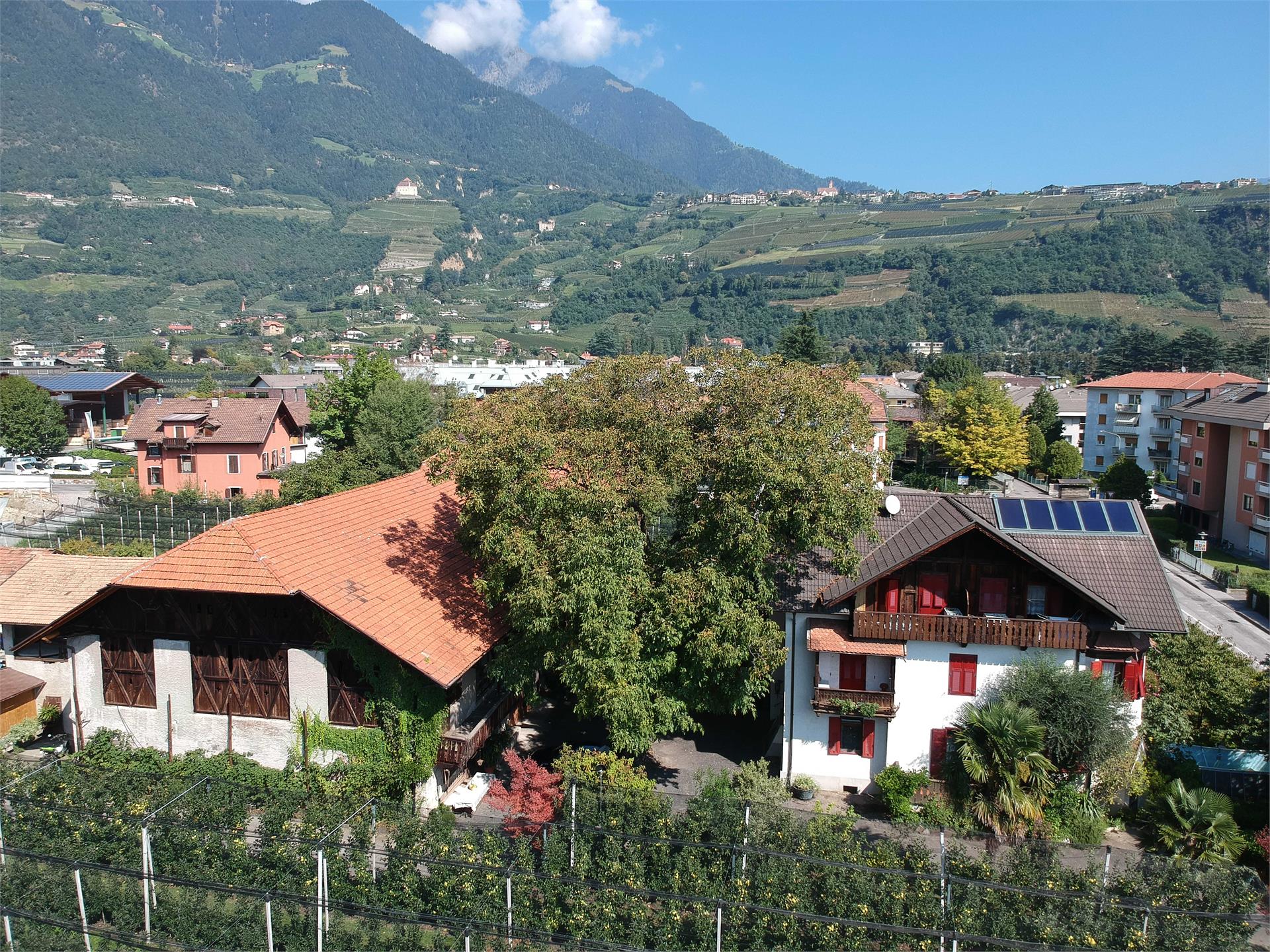 Bauernhof Gamperhof Algund 1 suedtirol.info