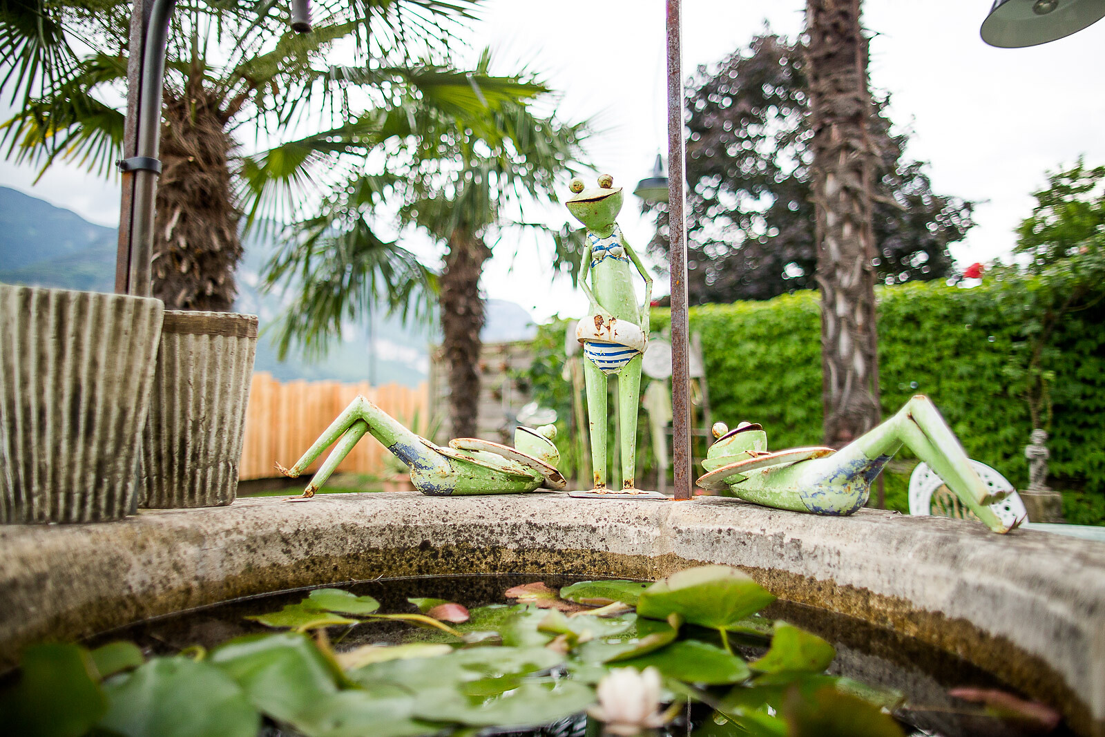 garden