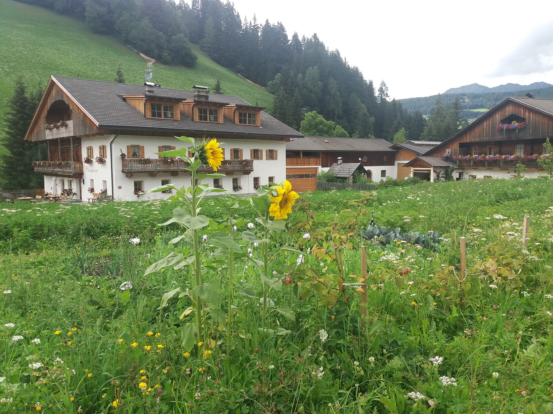 Bruggerhof