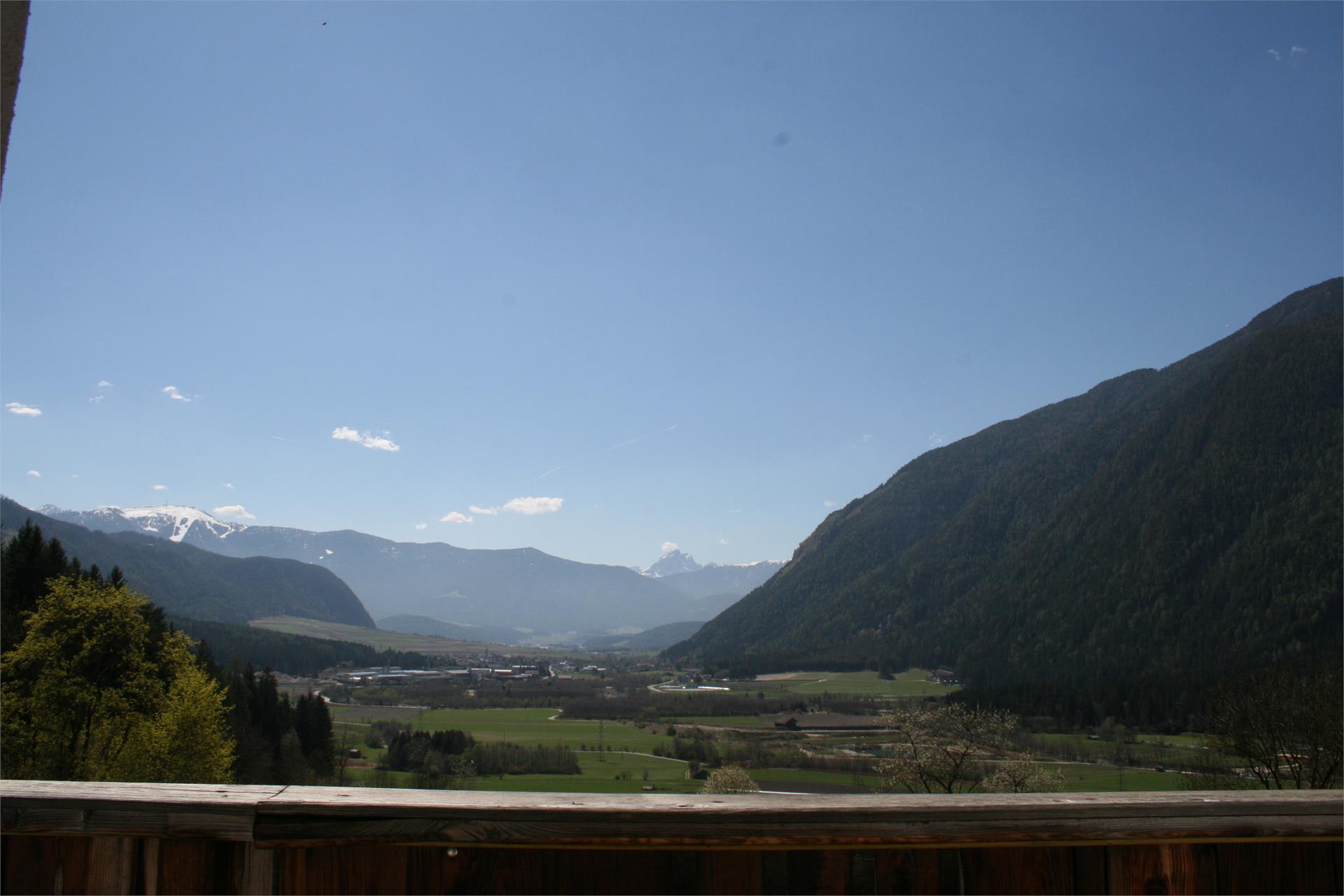 Biohof Felder Gais 2 suedtirol.info
