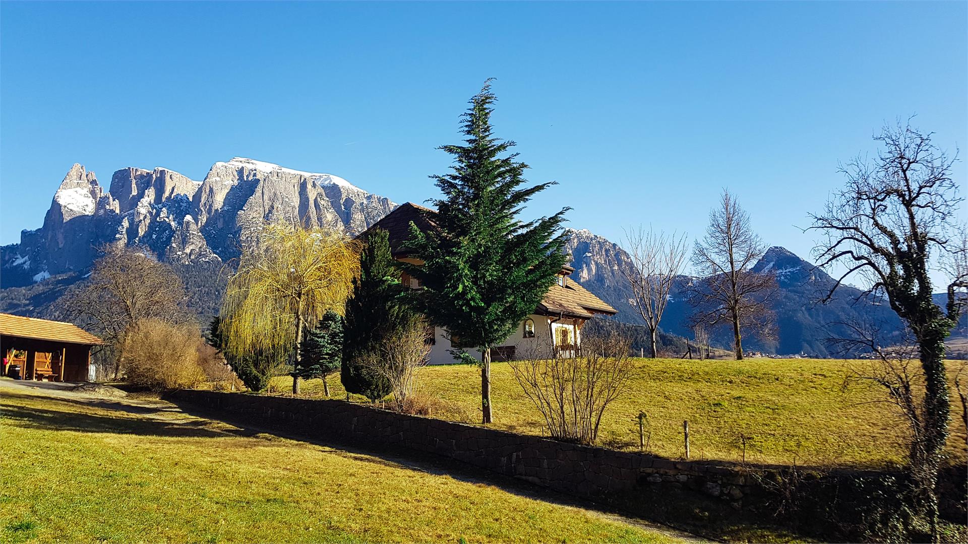 Birbamergut Renon 3 suedtirol.info