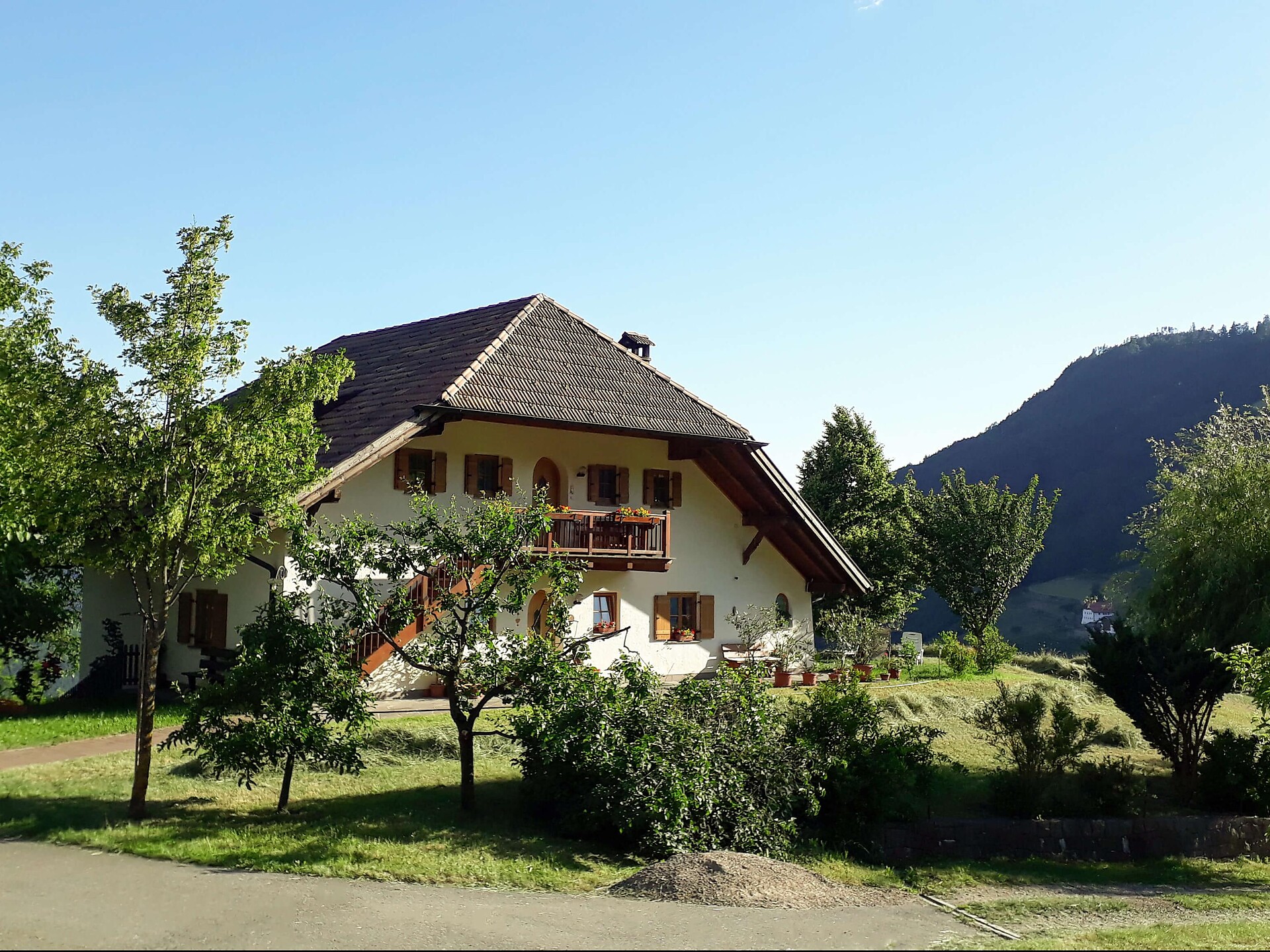 Summer View