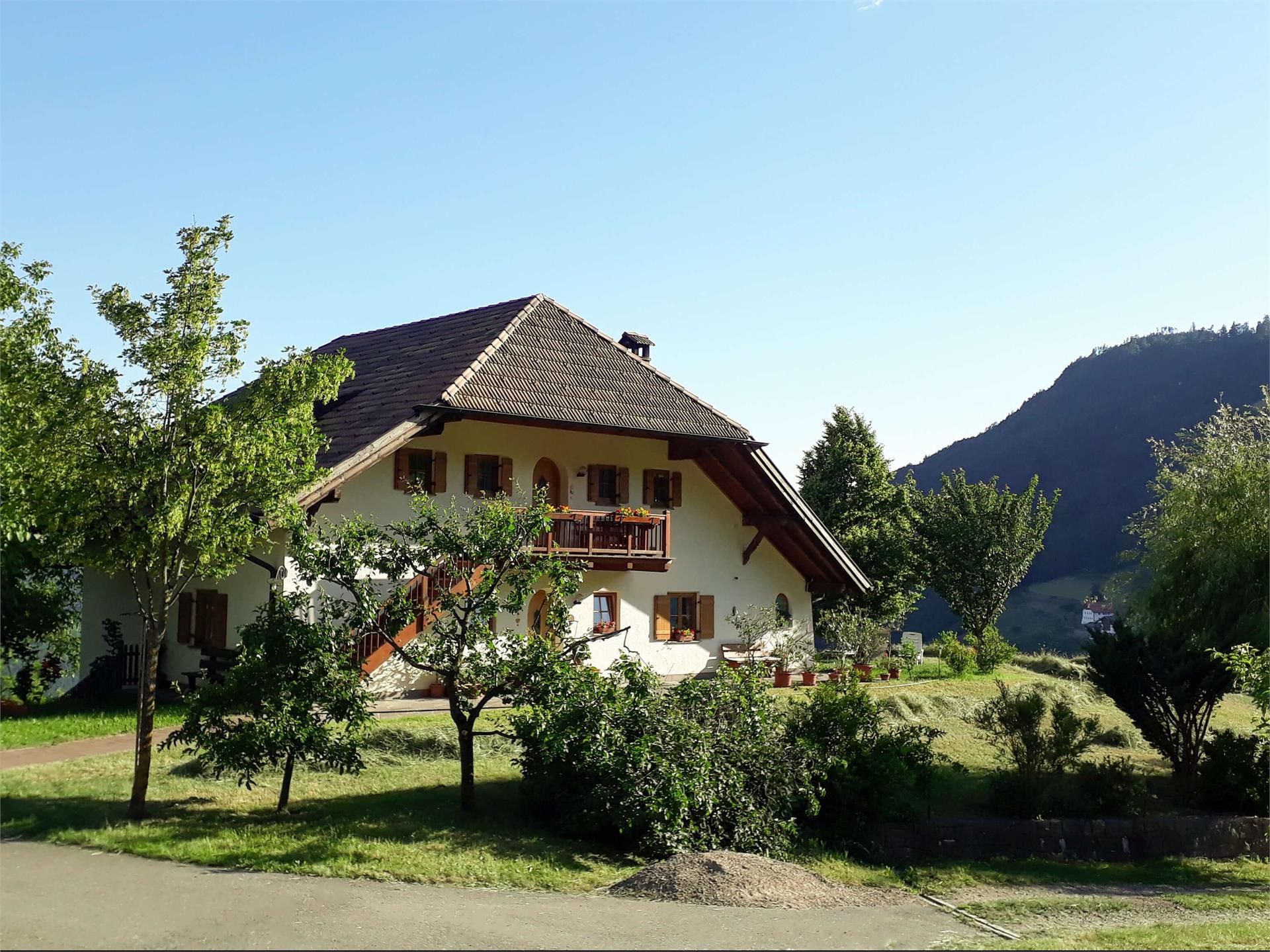 Birbamergut Renon 1 suedtirol.info