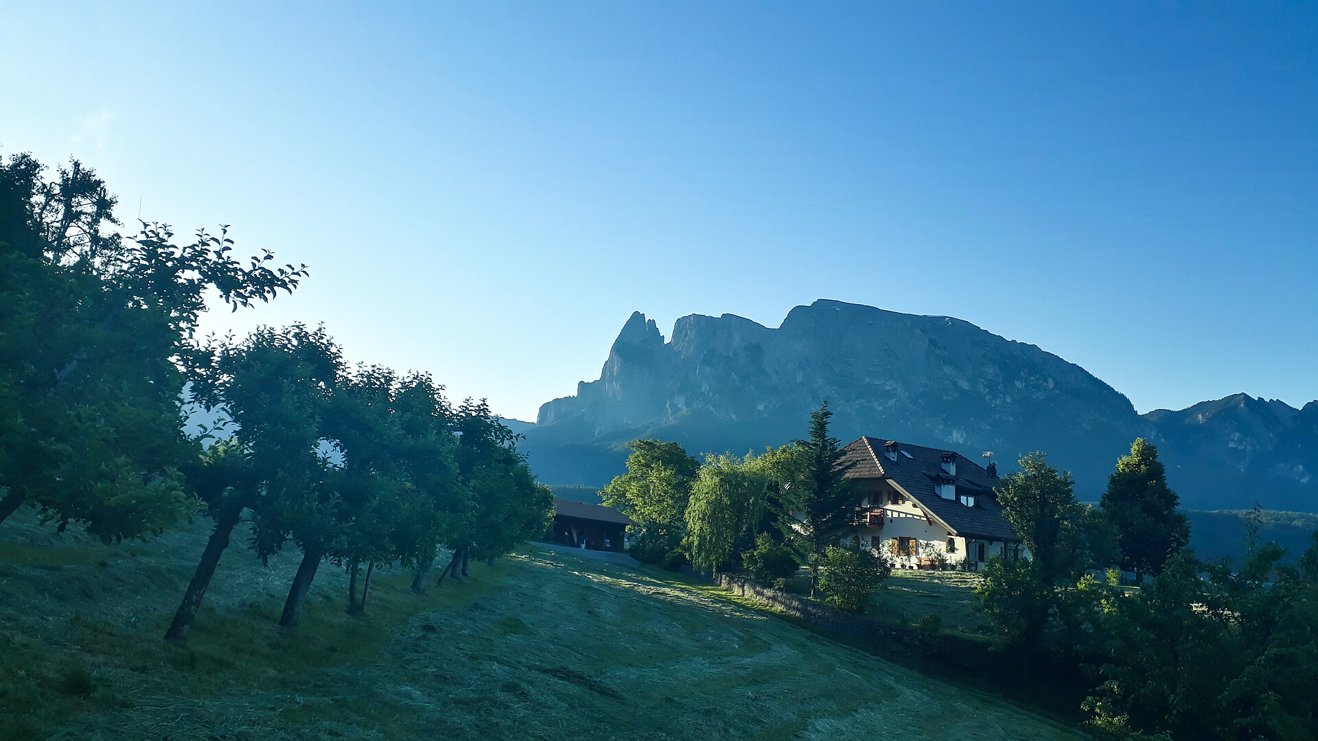 Summer View