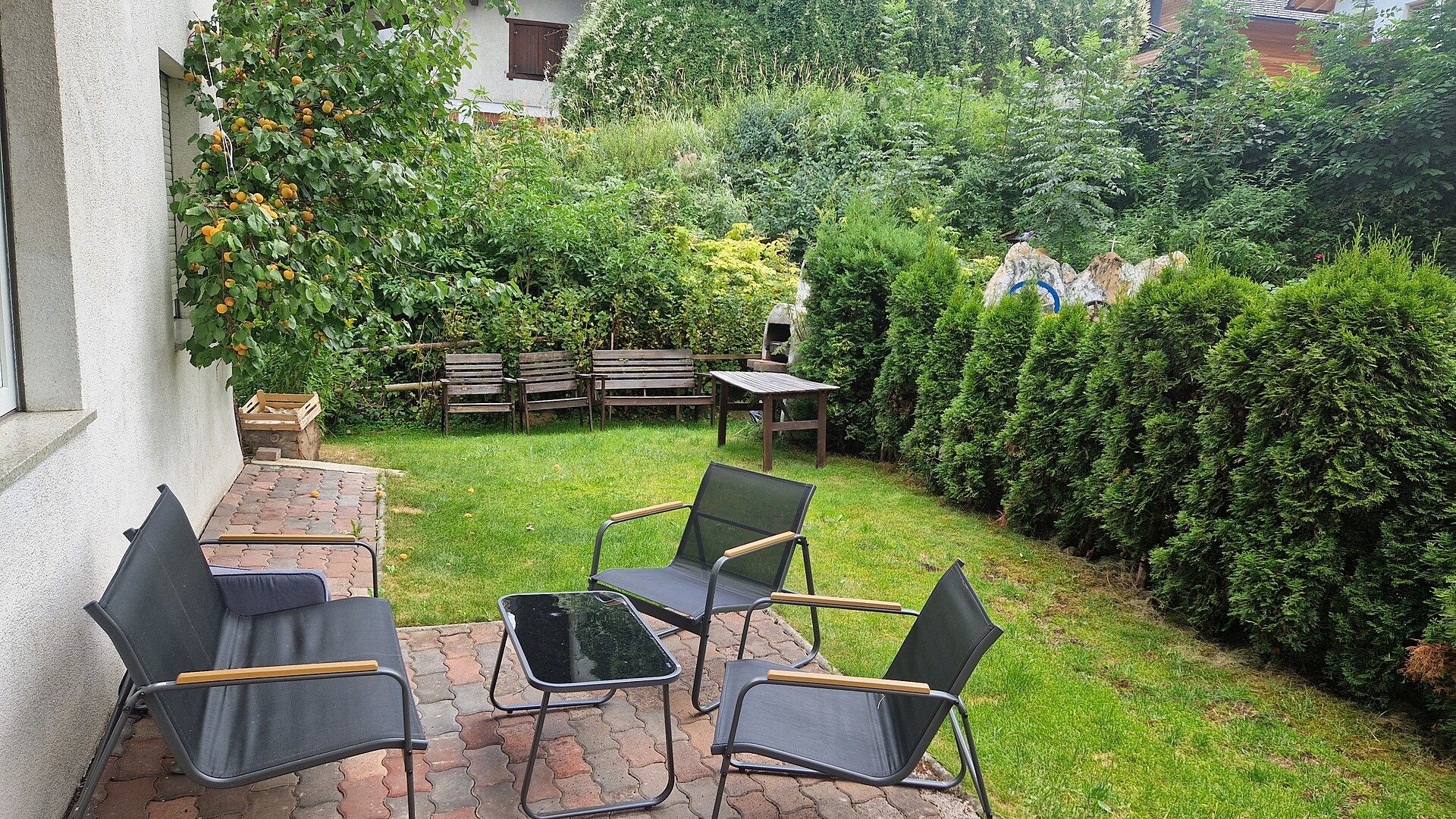 Giardino
