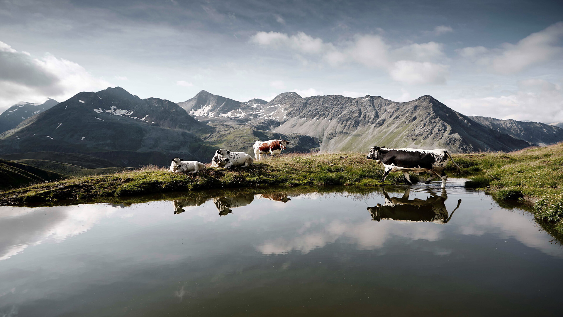 Christlrumerhof Bruneck/Brunico 30 suedtirol.info