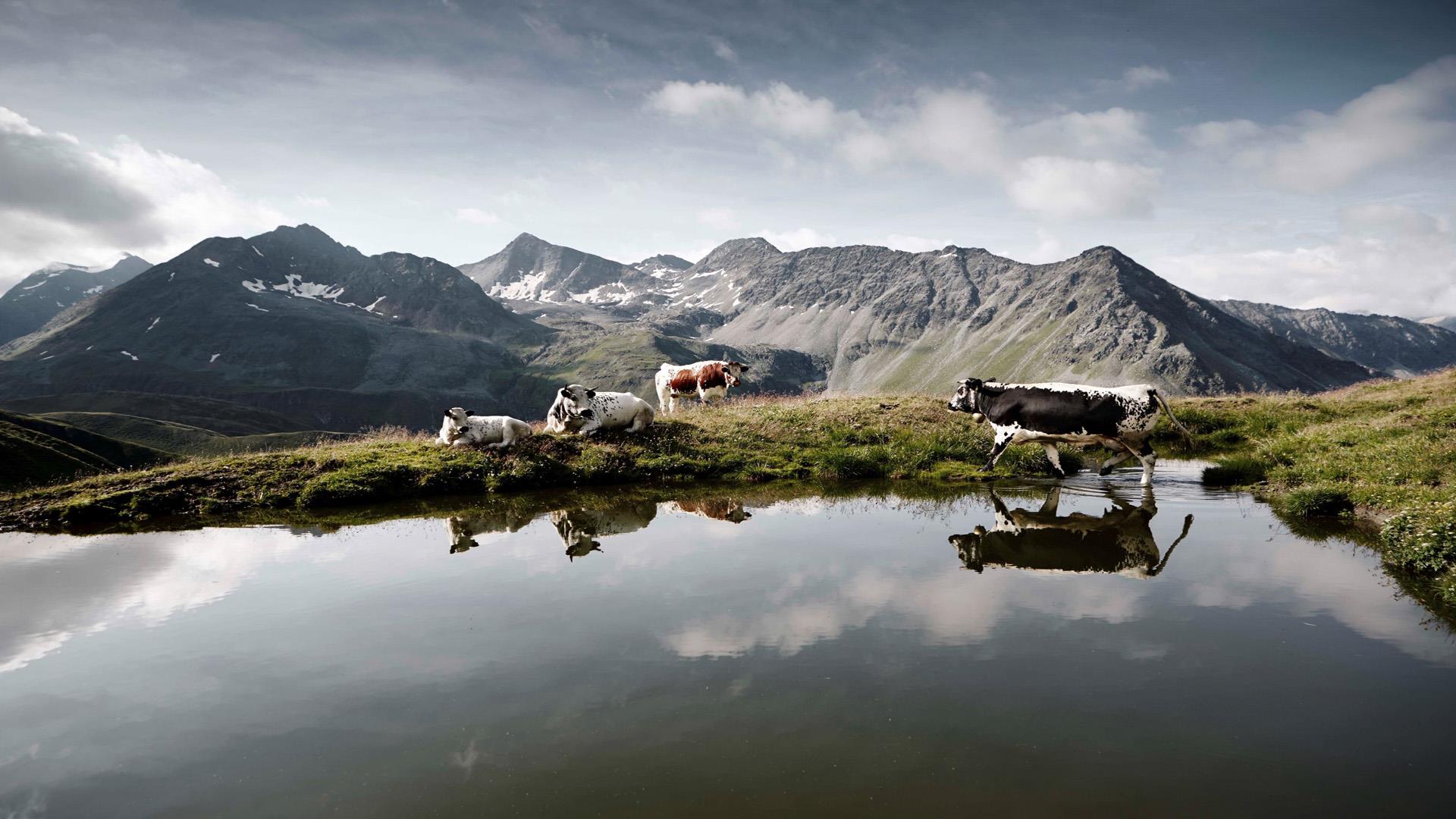 Christlrumerhof Brunico 30 suedtirol.info