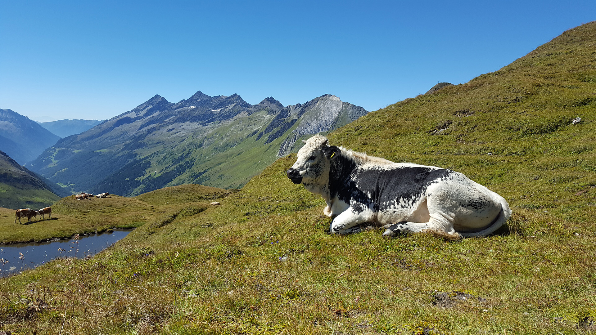 Christlrumerhof Bruneck/Brunico 26 suedtirol.info
