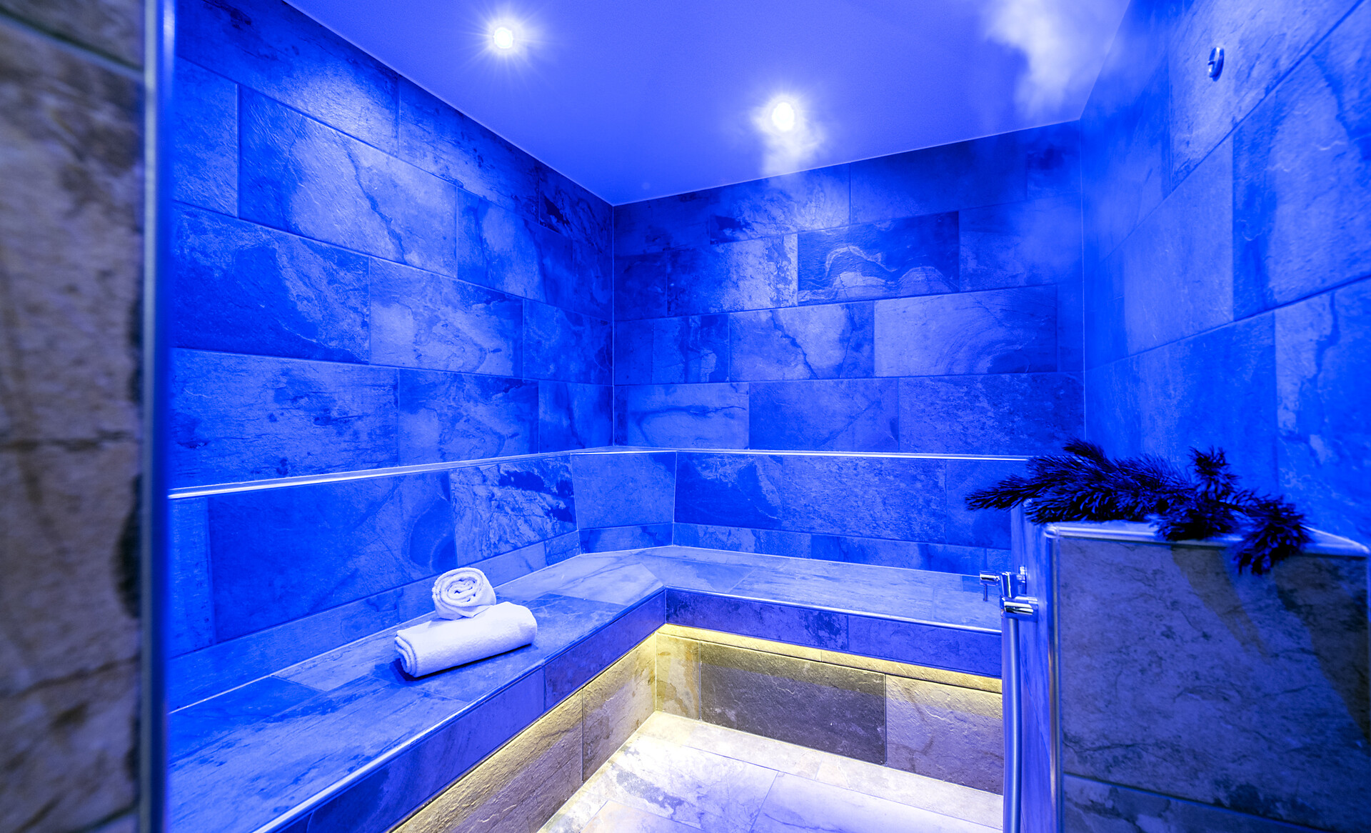 Steam sauna