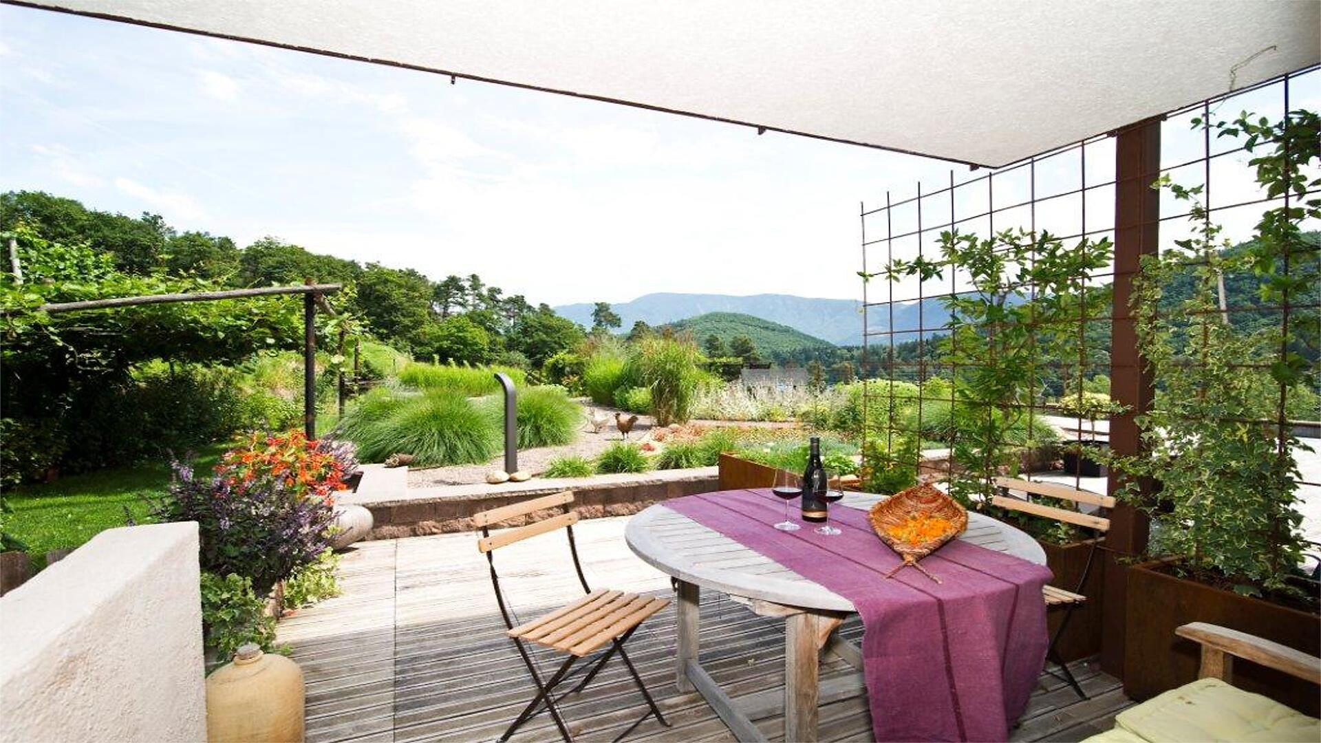 Terrasse Apartment 2