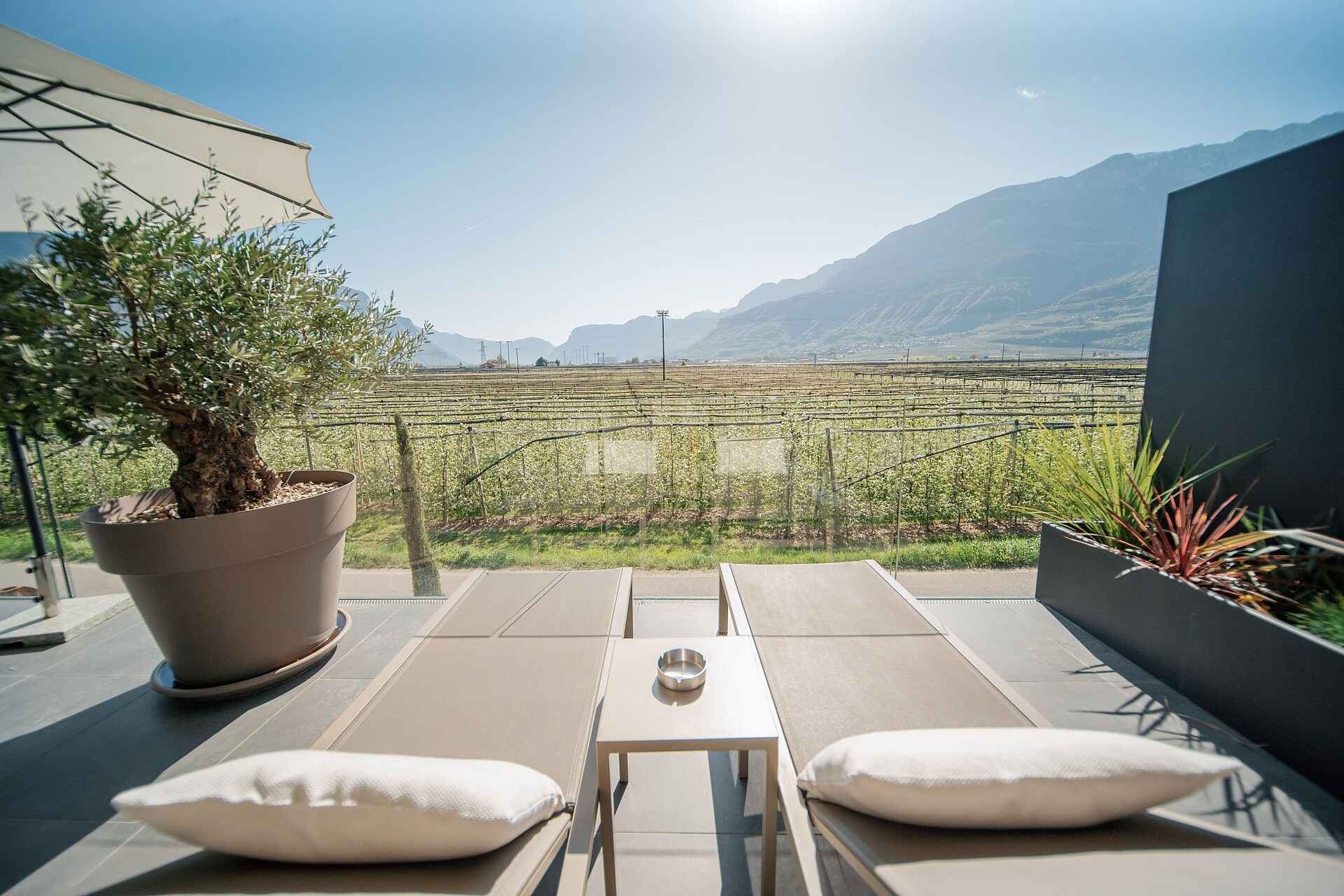 Chalet Agave by MUSE.holiday