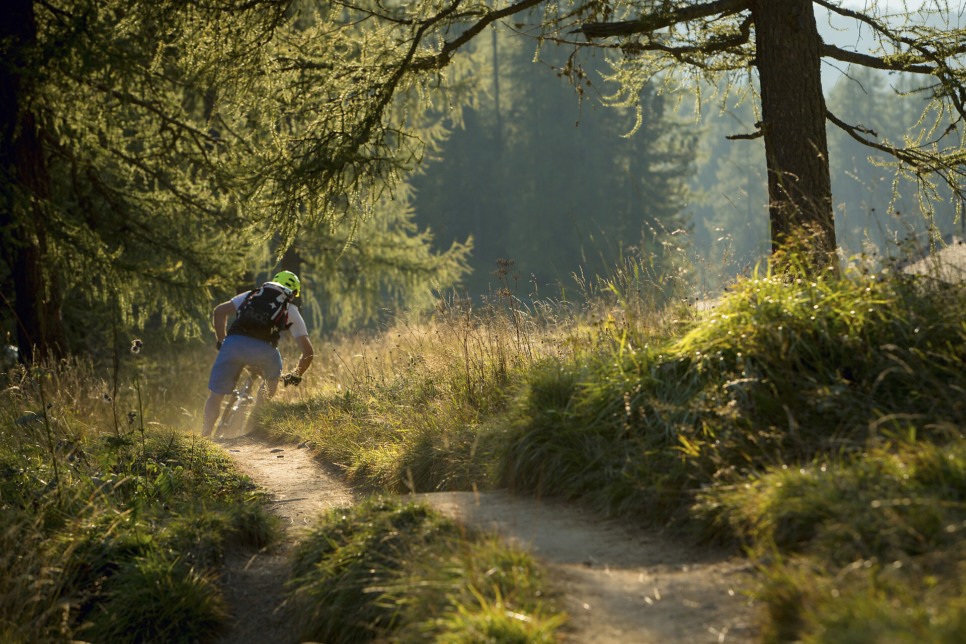 Carezza Trail