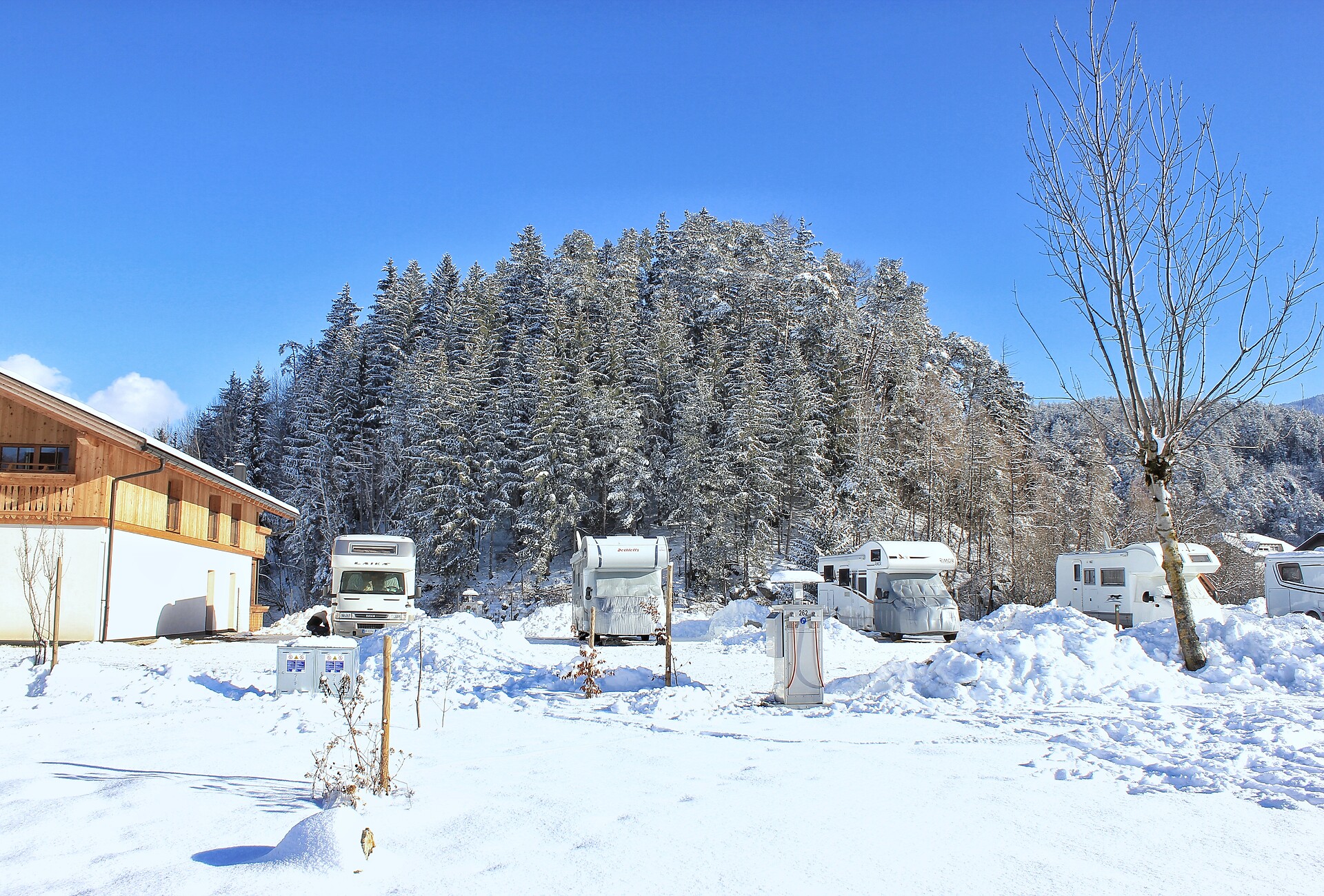 winter