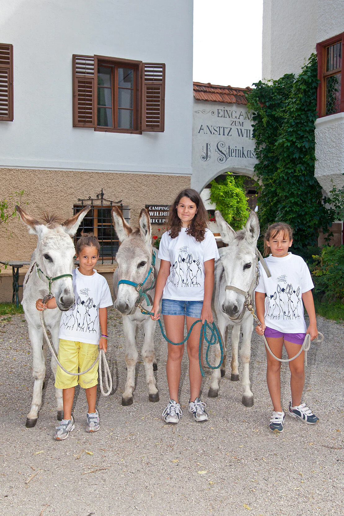 Camping Wildberg San Lorenzo di Sebato 10 suedtirol.info