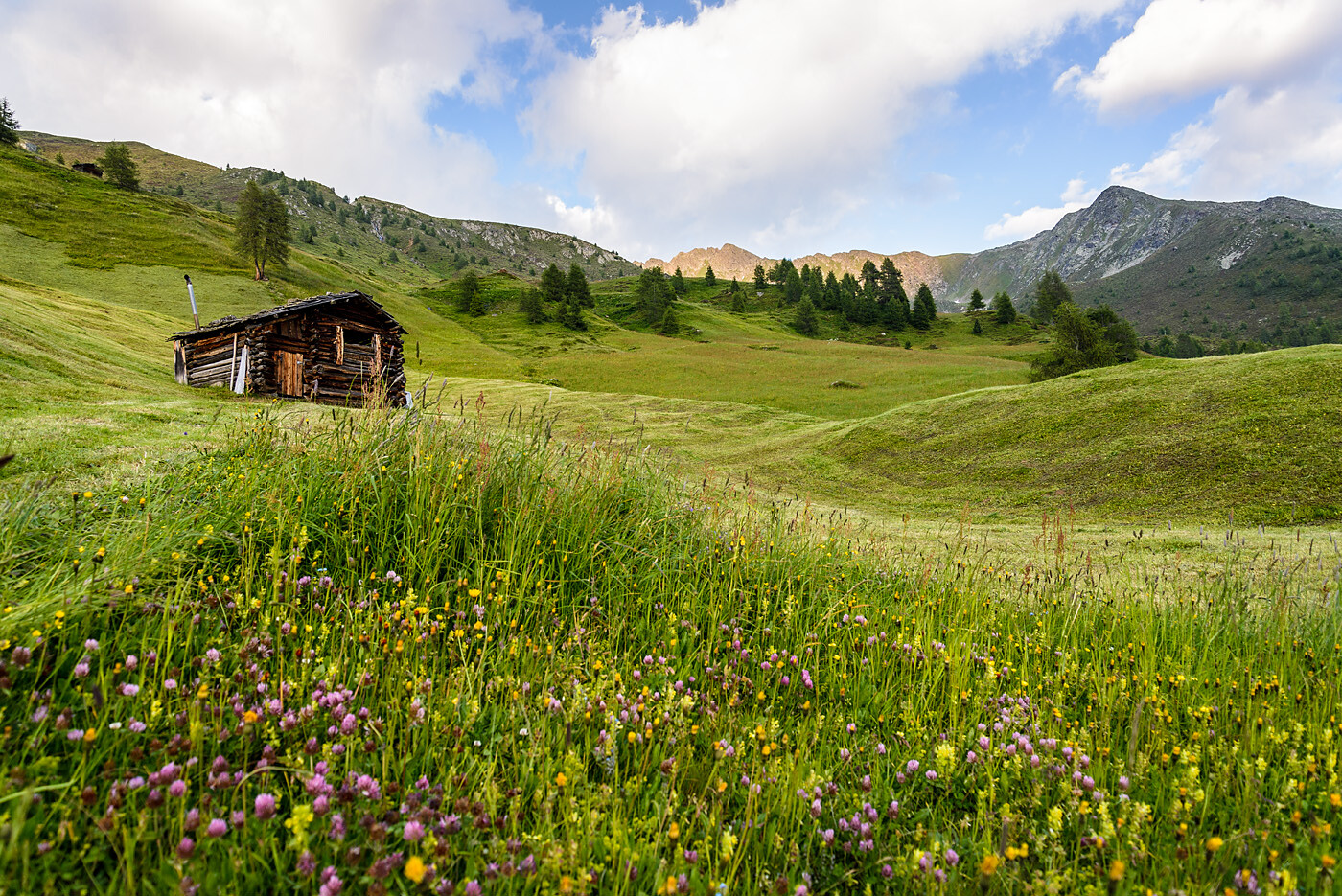 Chalet Wiesenglück am Rotmooshof -  - #20 - suedtirol.info