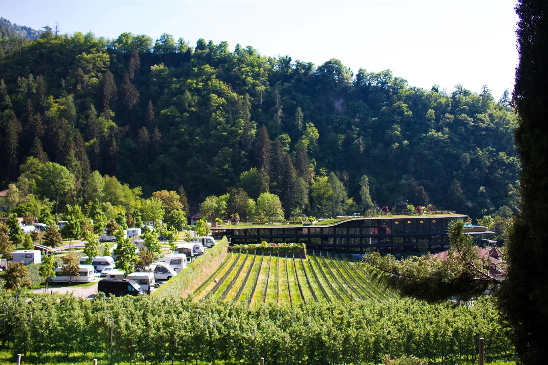 Camping Hermitage Merano 8 suedtirol.info