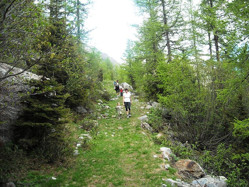 Camping Badlerhof - Vinschgau/Val Venosta - #16 - suedtirol.info