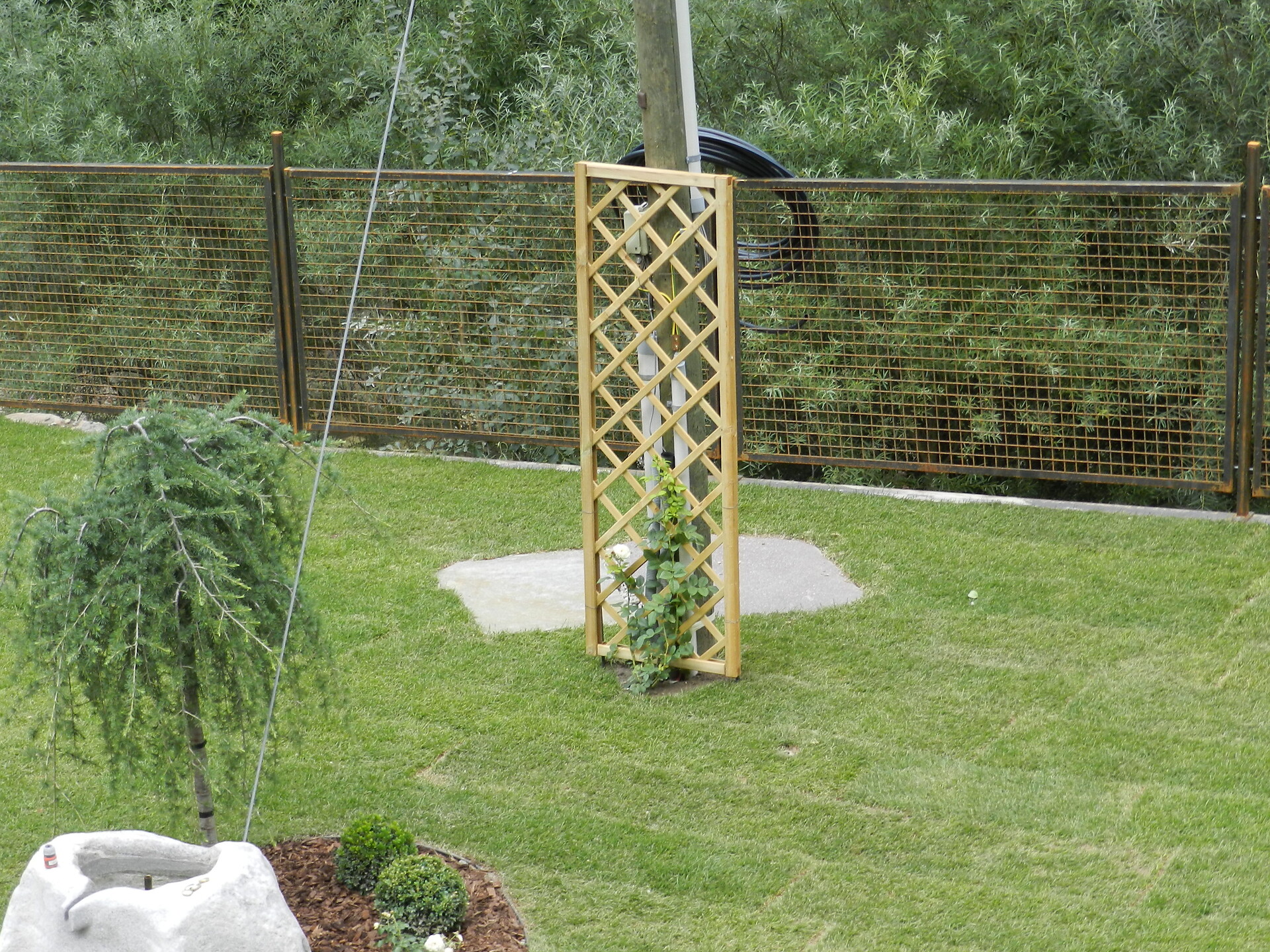 ein kleiner Teil vom Garten