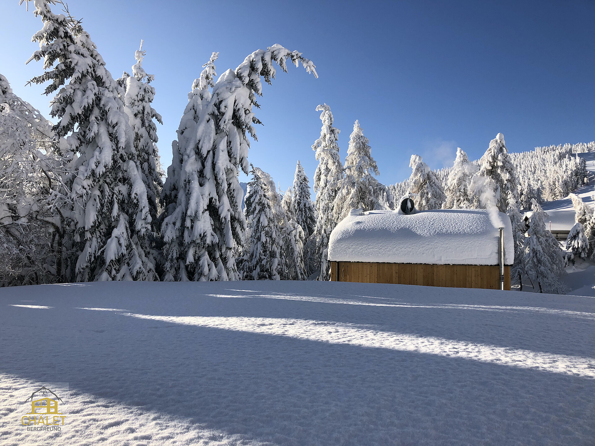 Chalet Bergfreund
