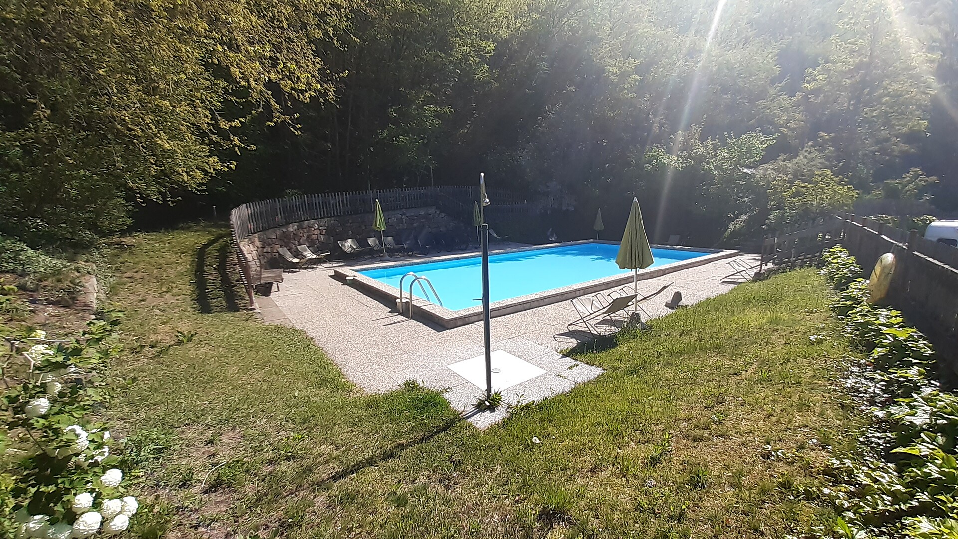 swimming pool