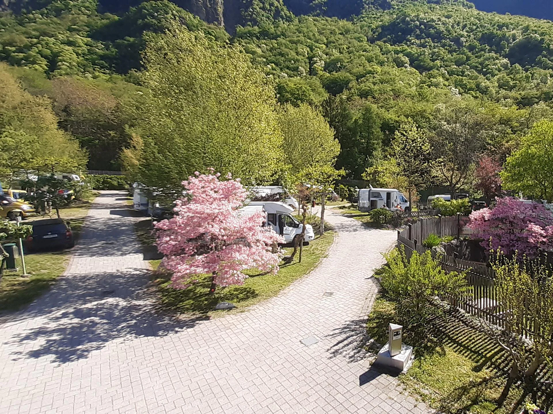 Camping Ganthaler Terlan/Terlano 1 suedtirol.info