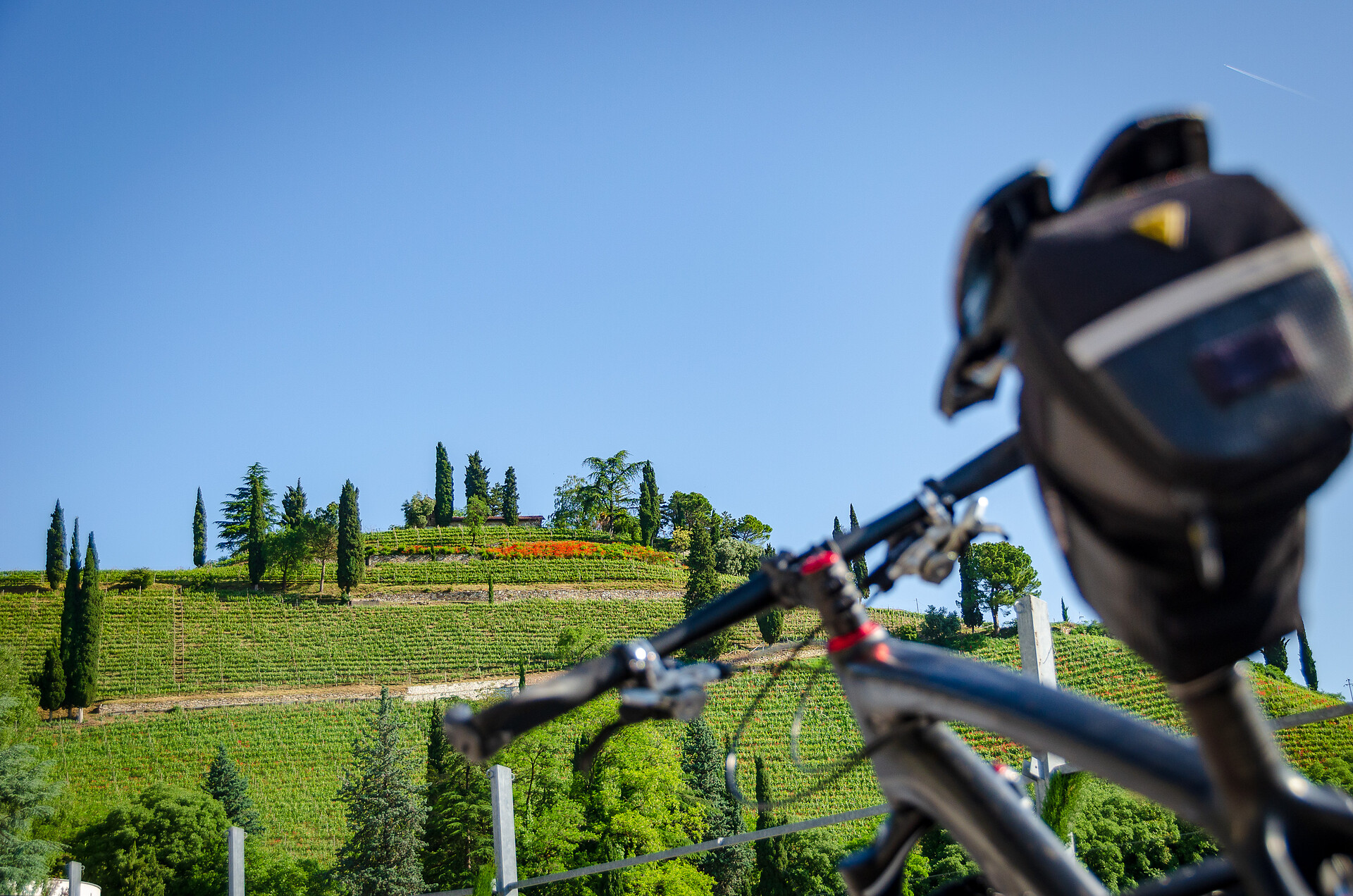 bicicletta