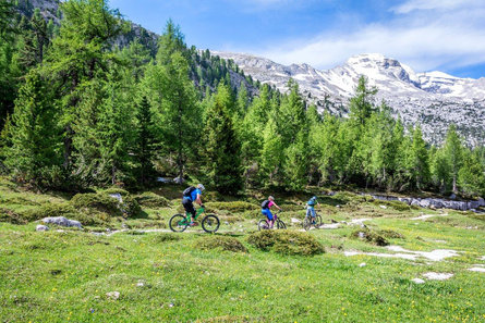 Camping AL PLAN-Dolomites Al Plan/San Vigilio 19 suedtirol.info