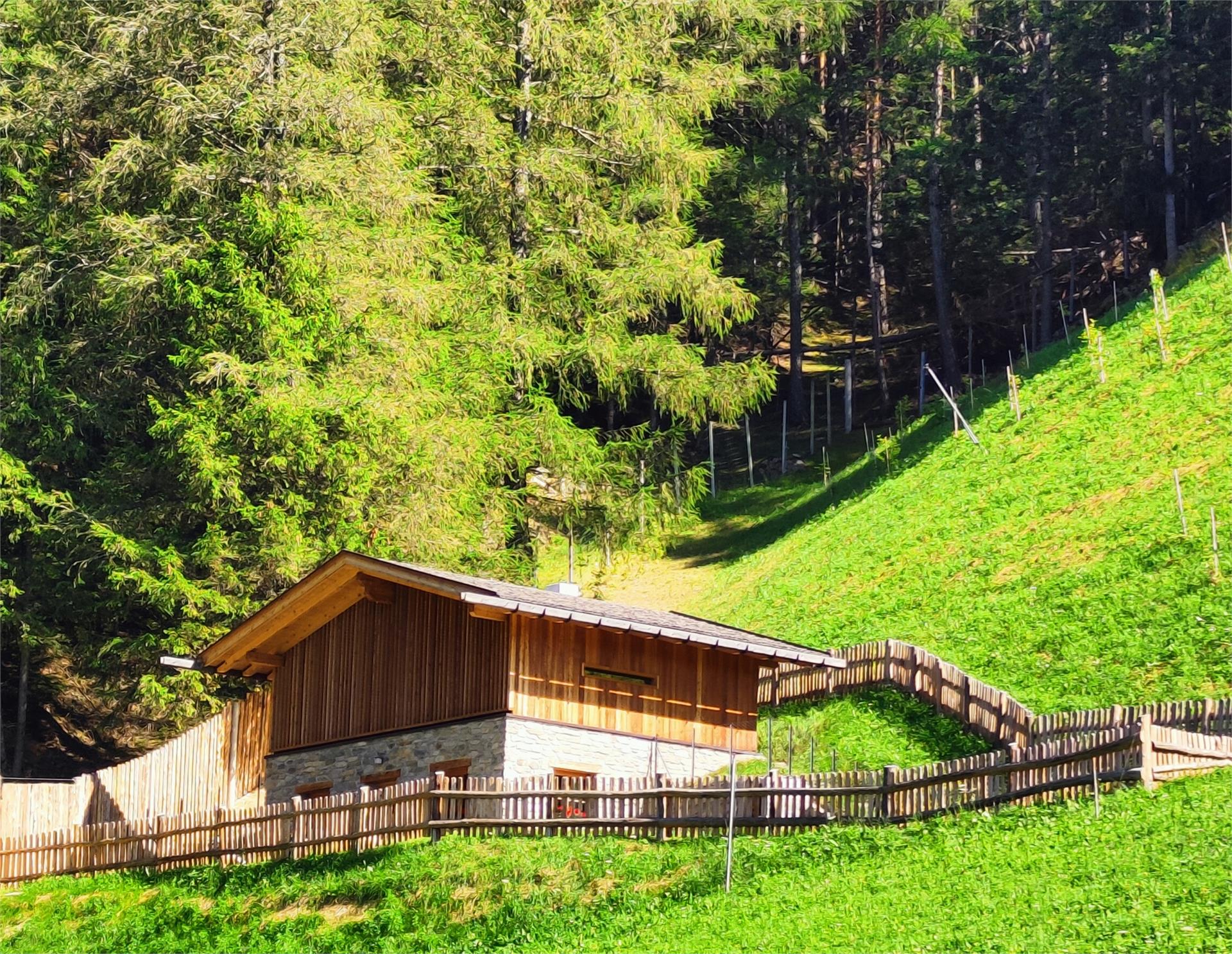 Chalet Wibenhof Silandro 6 suedtirol.info