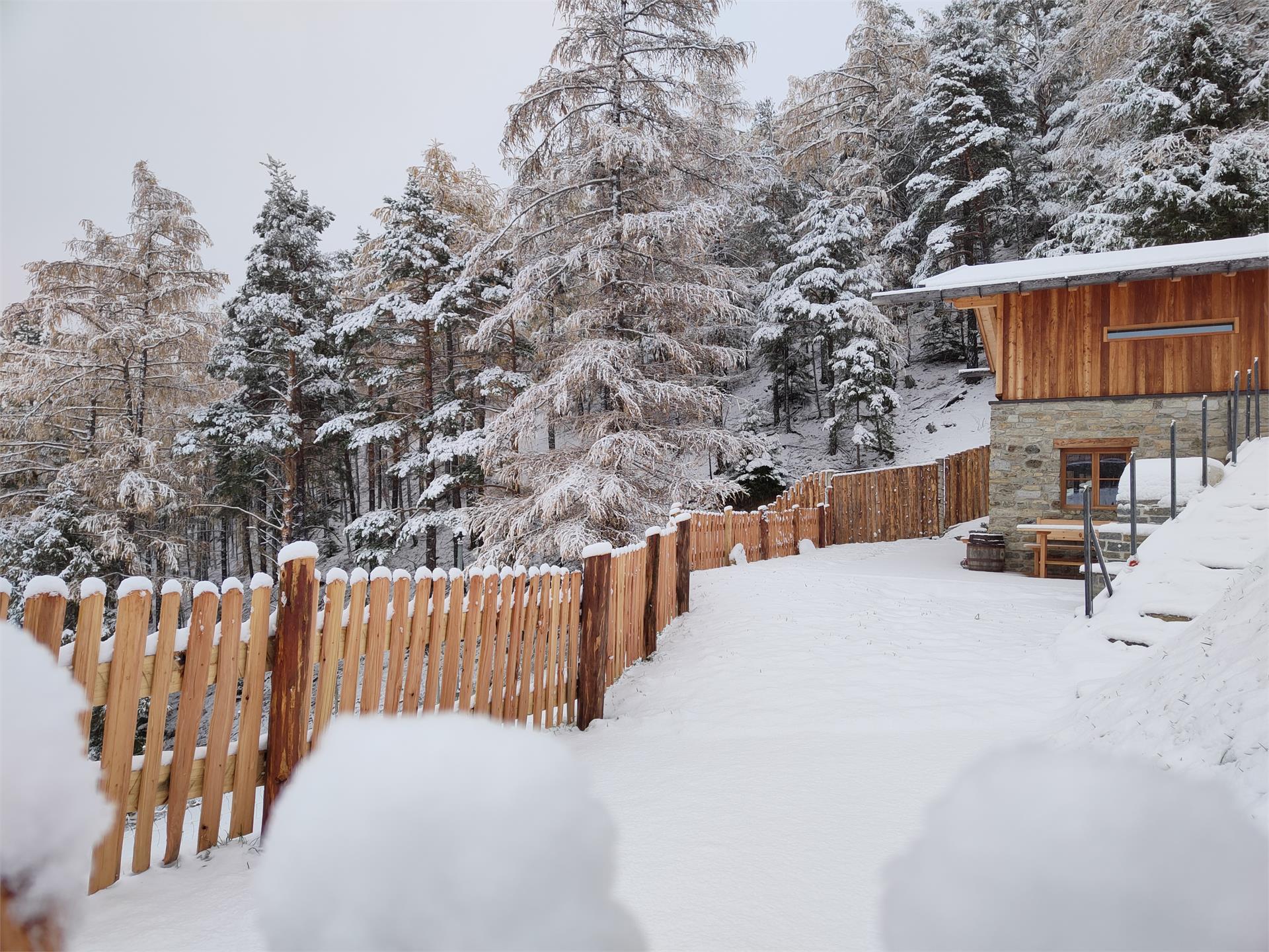 Chalet Wibenhof Silandro 4 suedtirol.info
