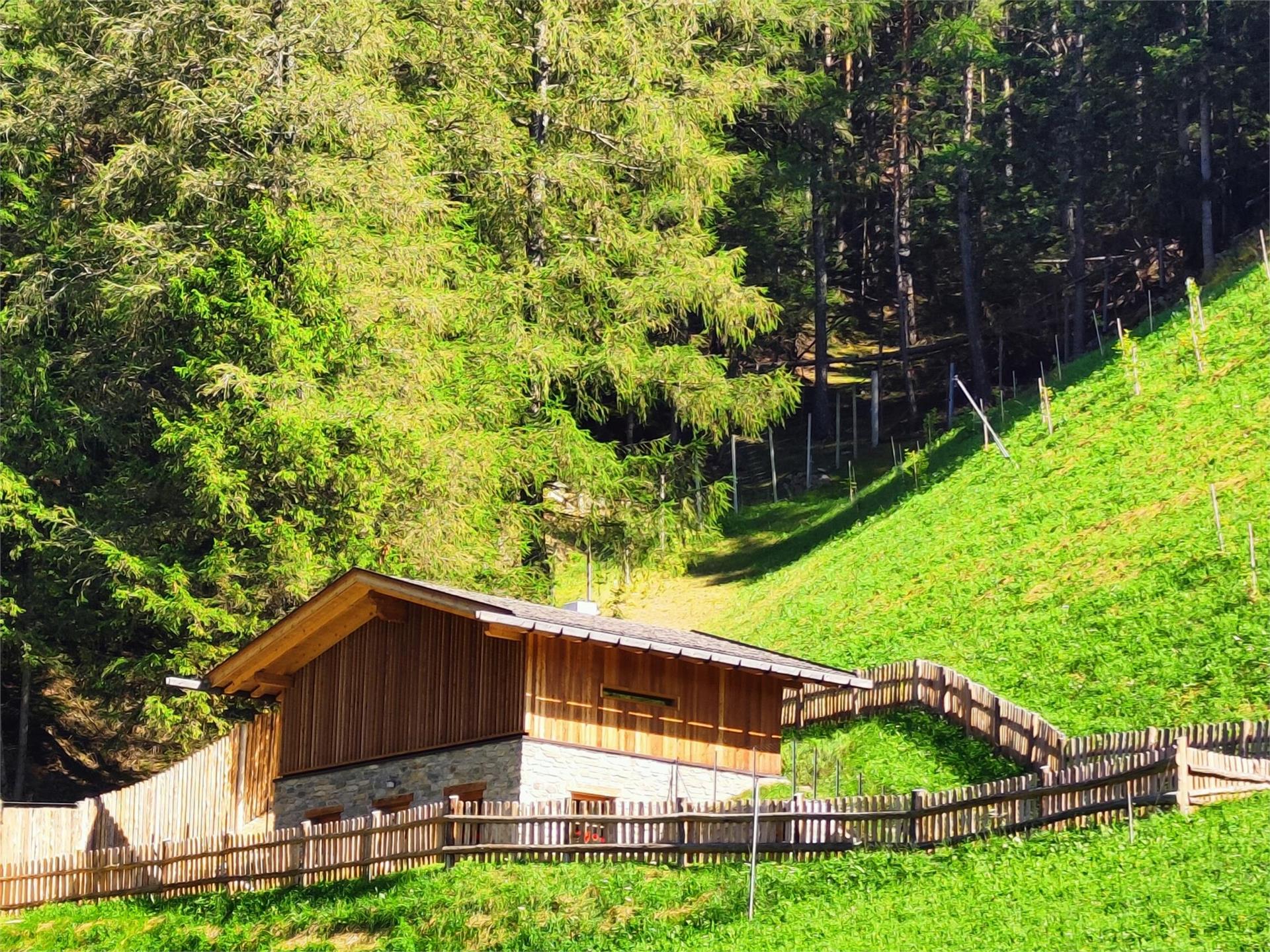 Chalet Wibenhof Silandro 1 suedtirol.info