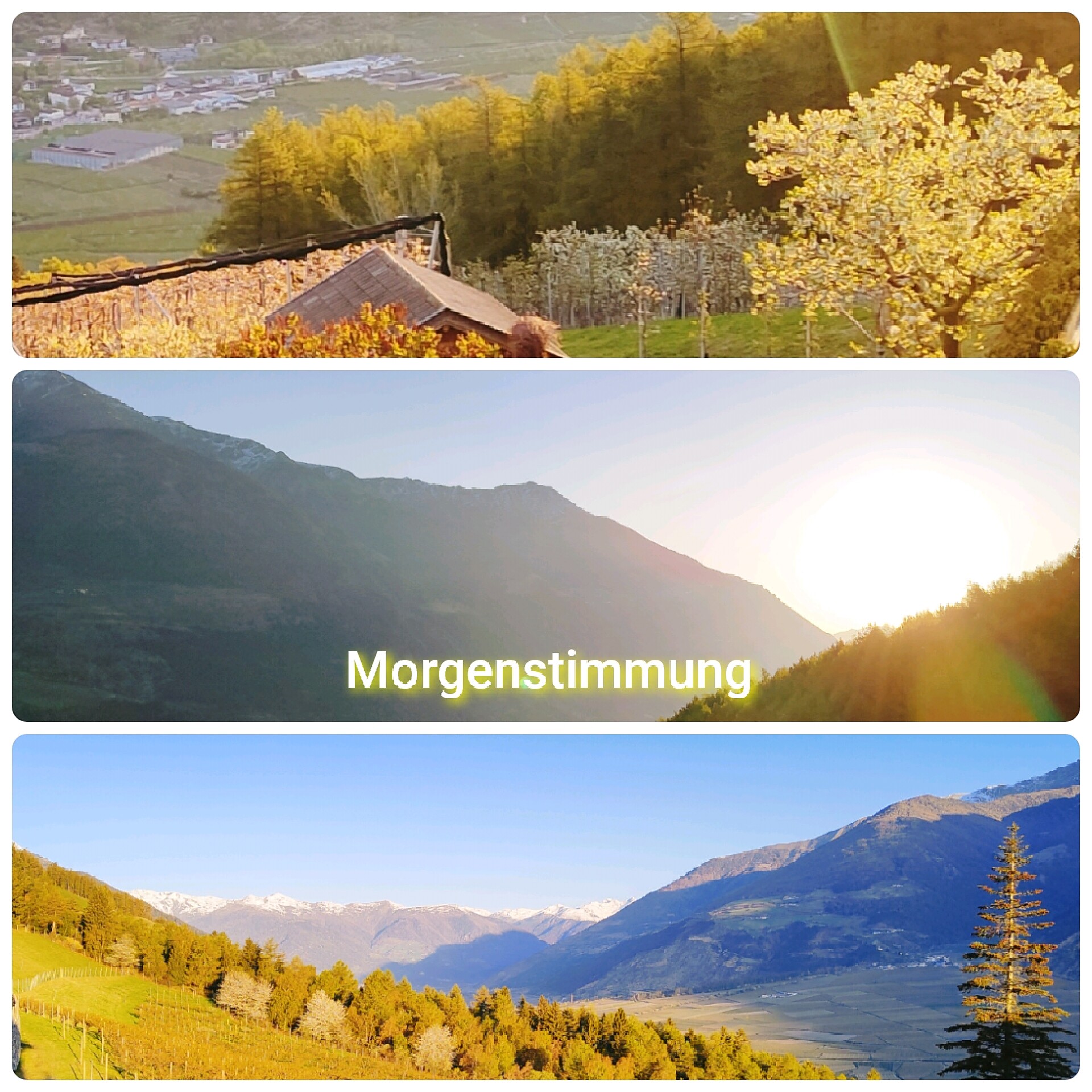 L'atmosfera del mattino al Wibenhof