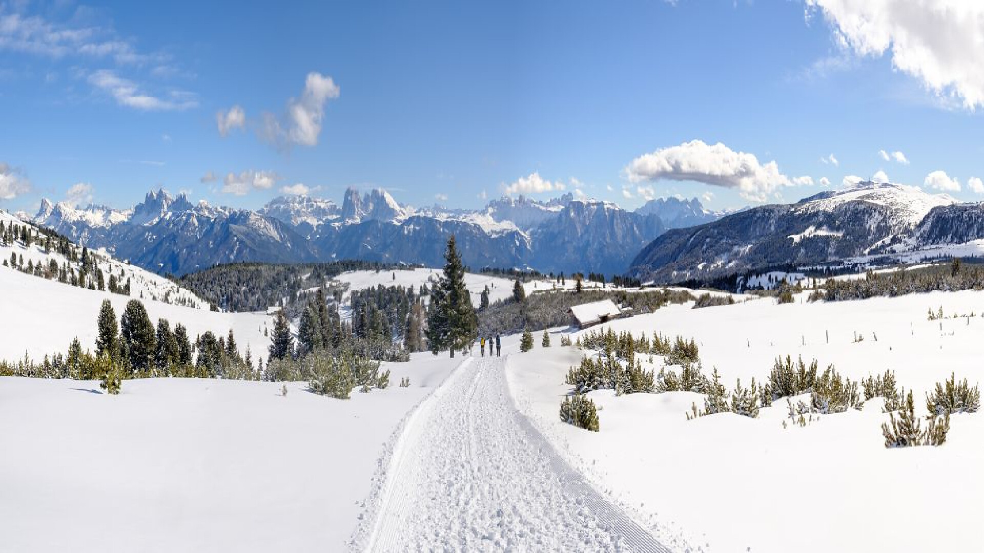 Winter