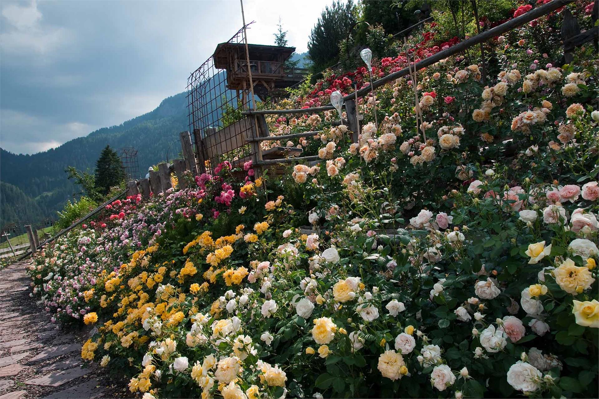 Charme Hotel Uhrerhof-Deur St.Ulrich 21 suedtirol.info