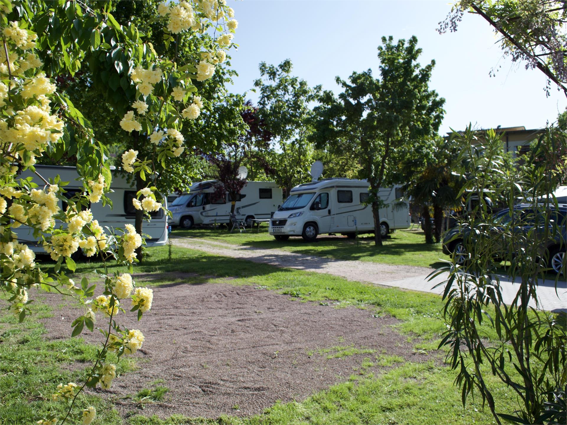 Camping Markushof Auer/Ora 1 suedtirol.info