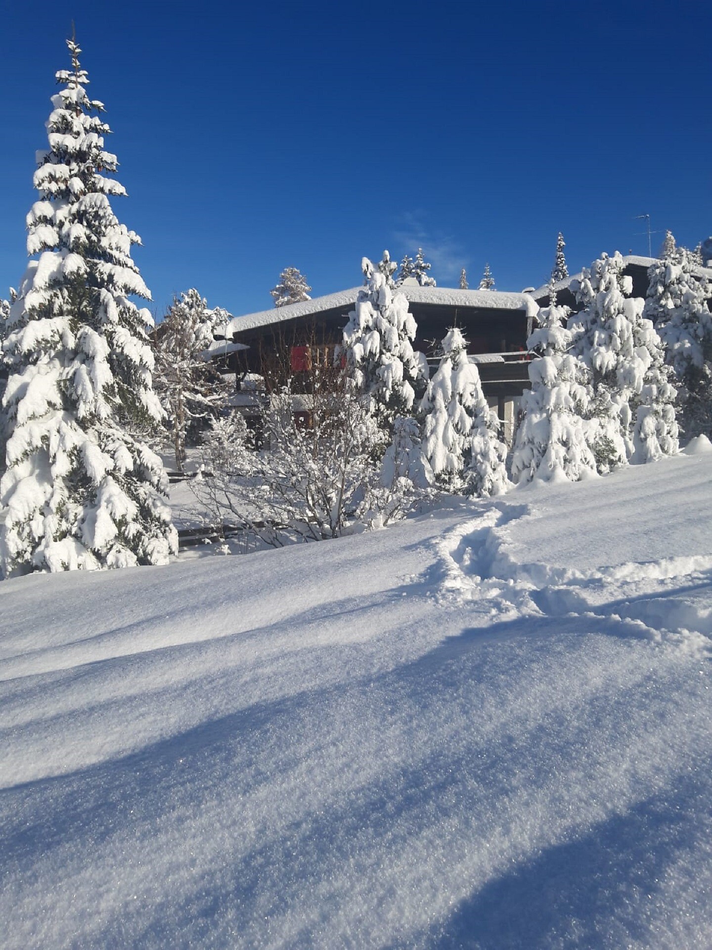 Chalet Zeller
