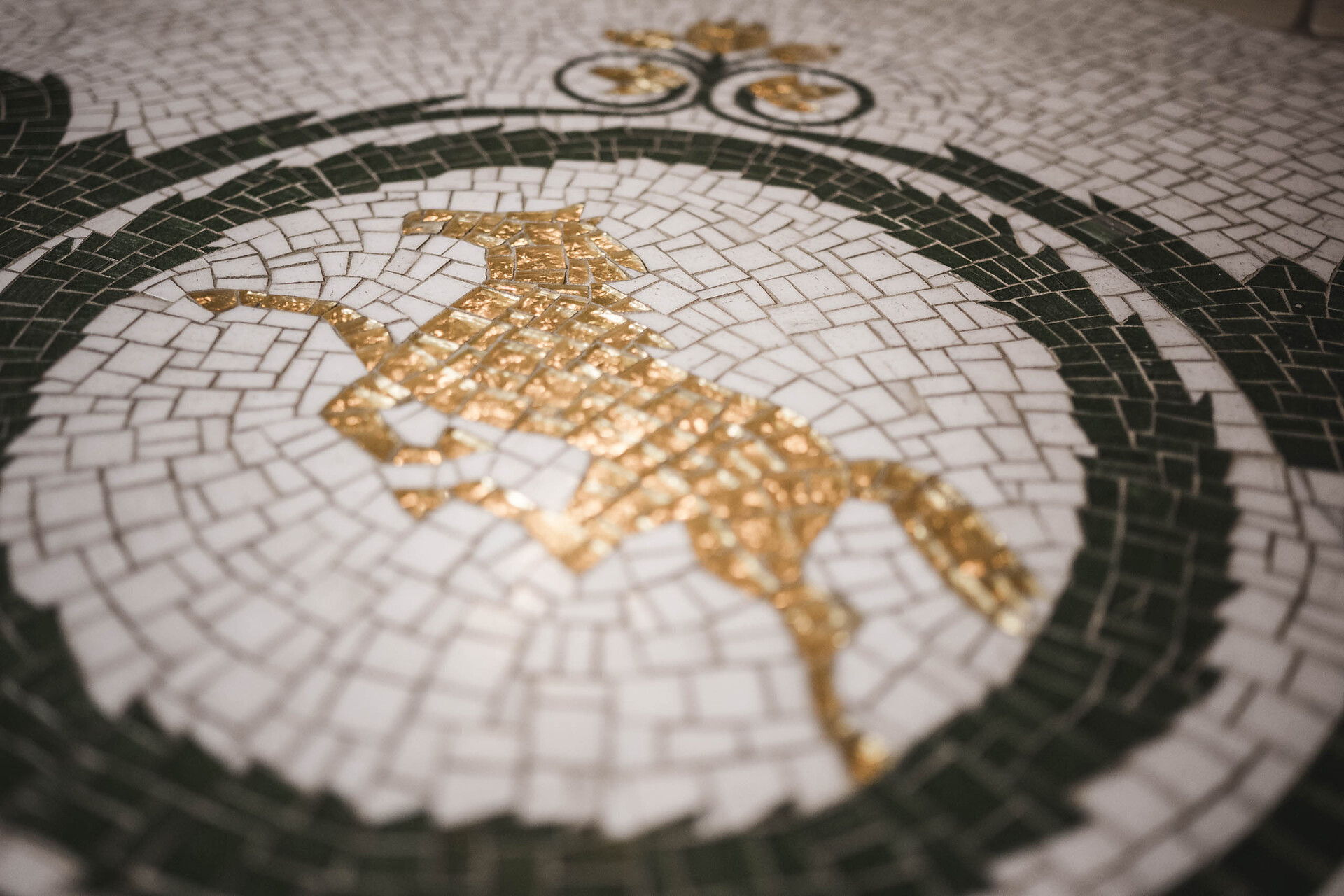 Cavallino D'Oro