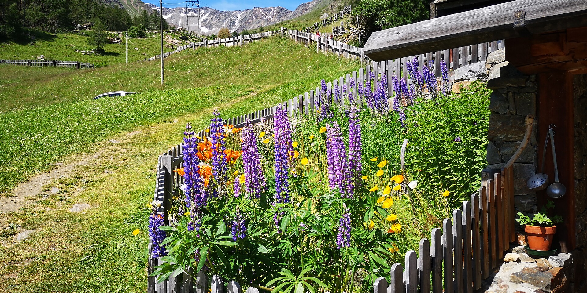 Chalets Lagaun Sommer 8