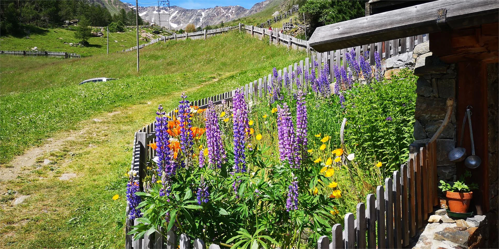 Chalets Lagaun Senales 19 suedtirol.info