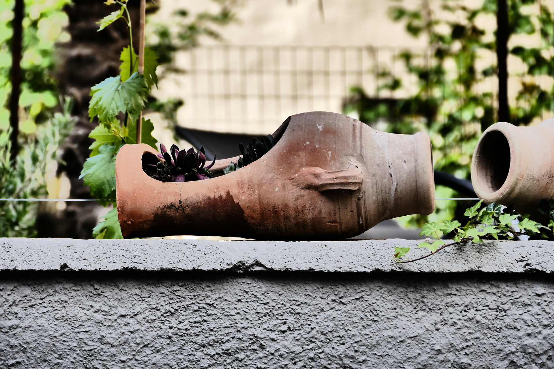 Outdoor Space