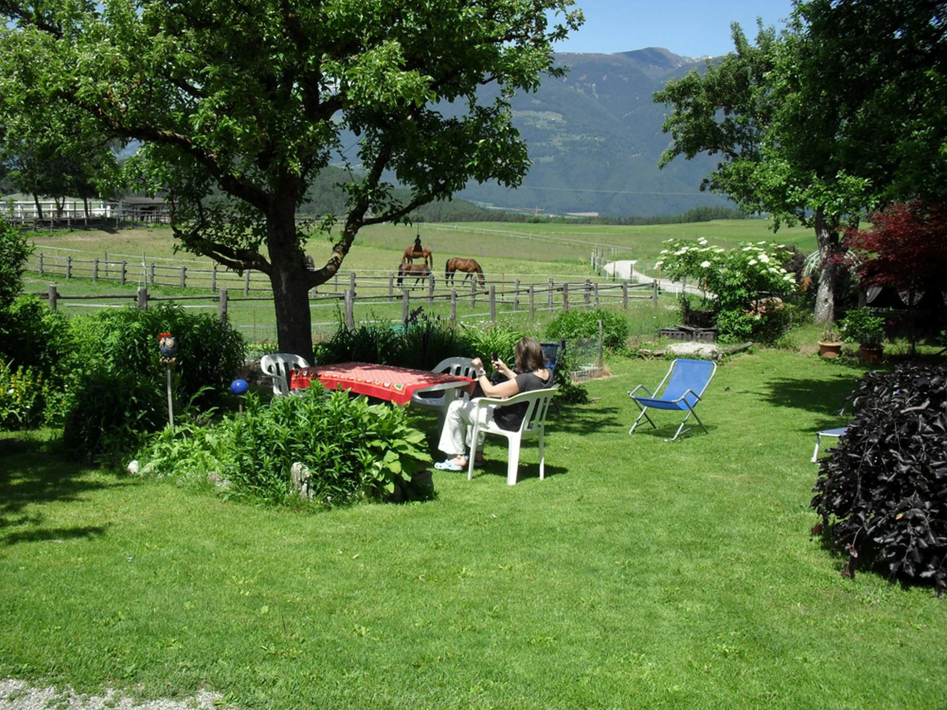 Cafè Prosl Brunico 17 suedtirol.info
