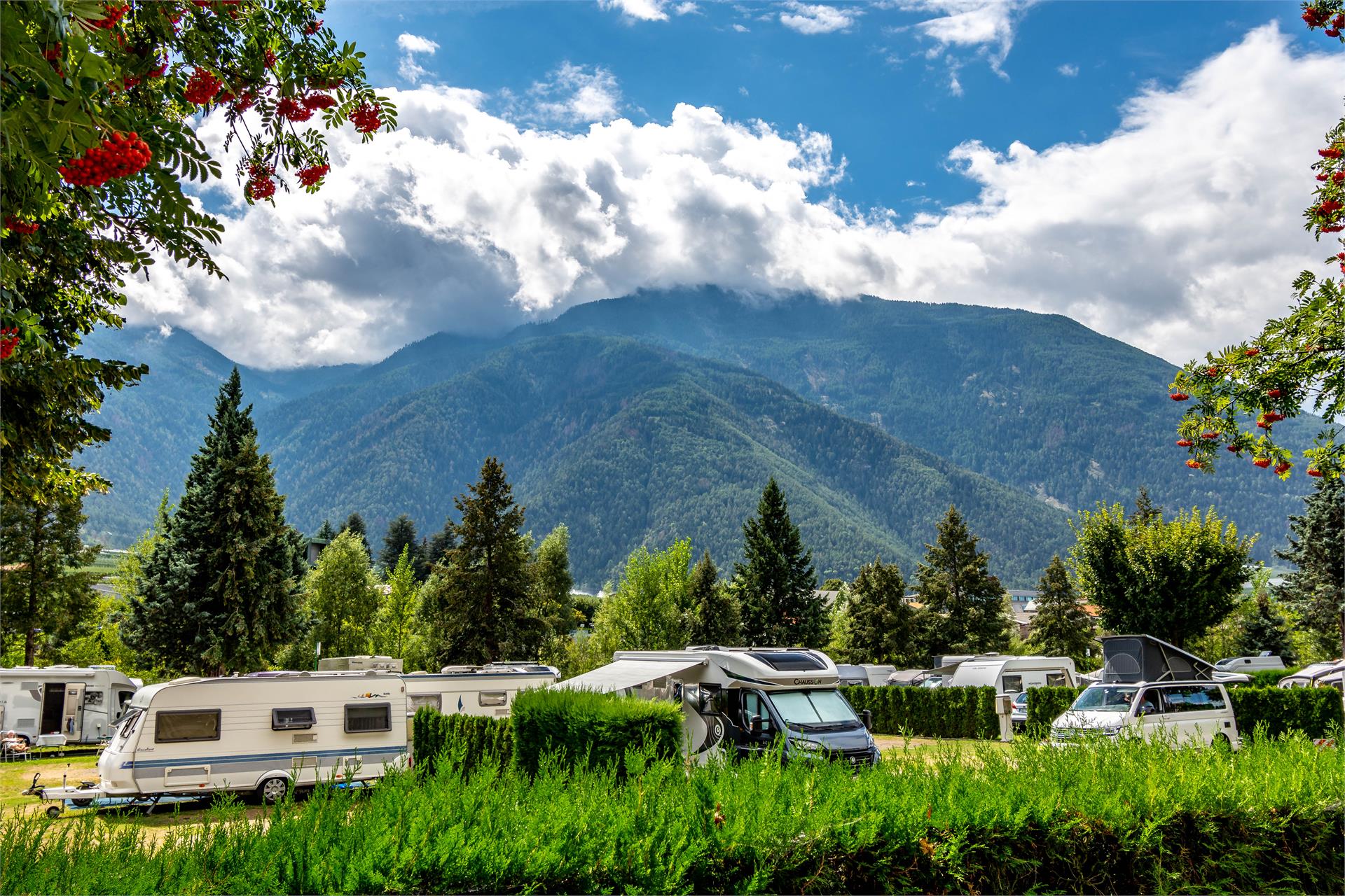 Camping Latsch an der Etsch Latsch 14 suedtirol.info